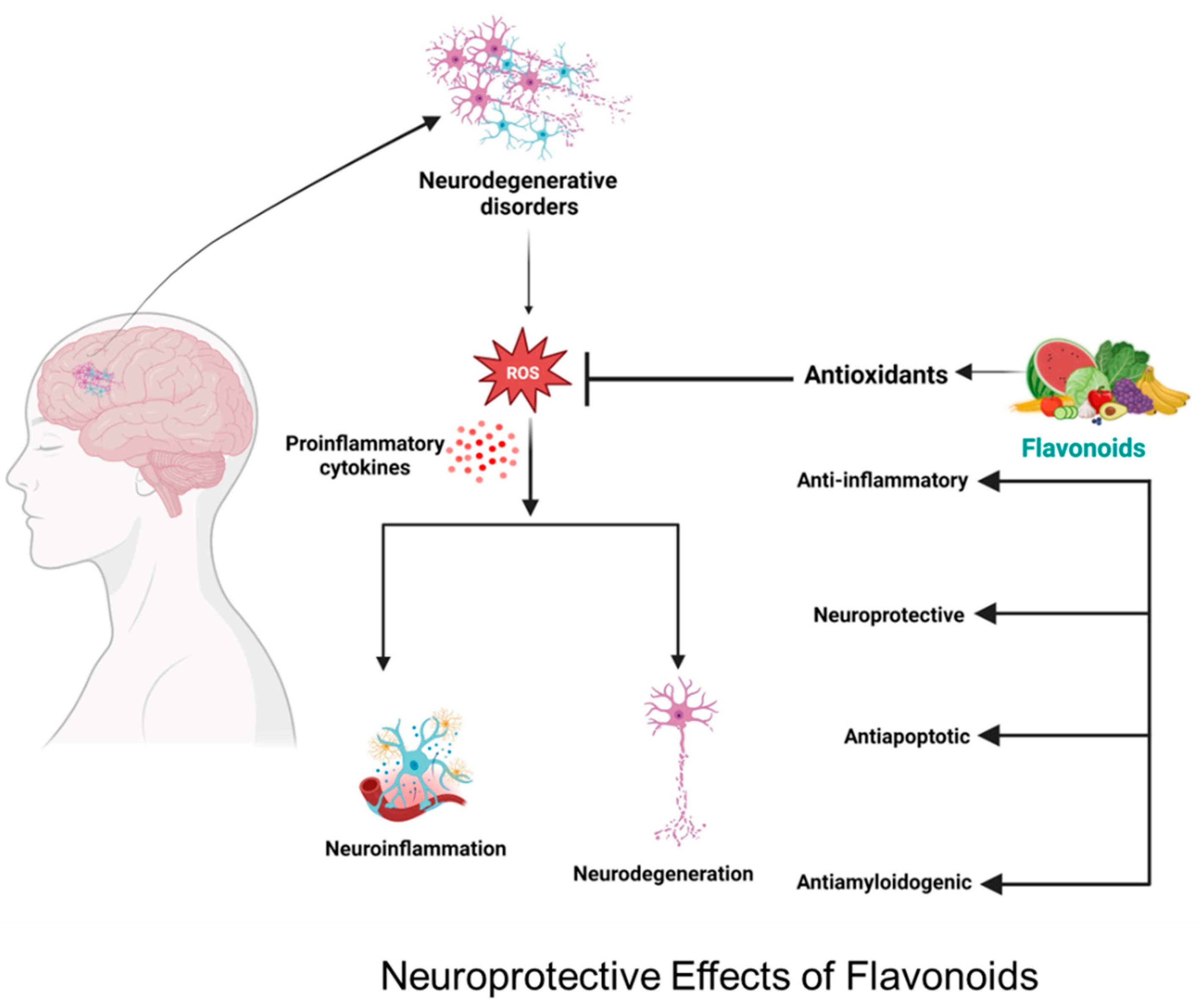 Flavonoids and brain health