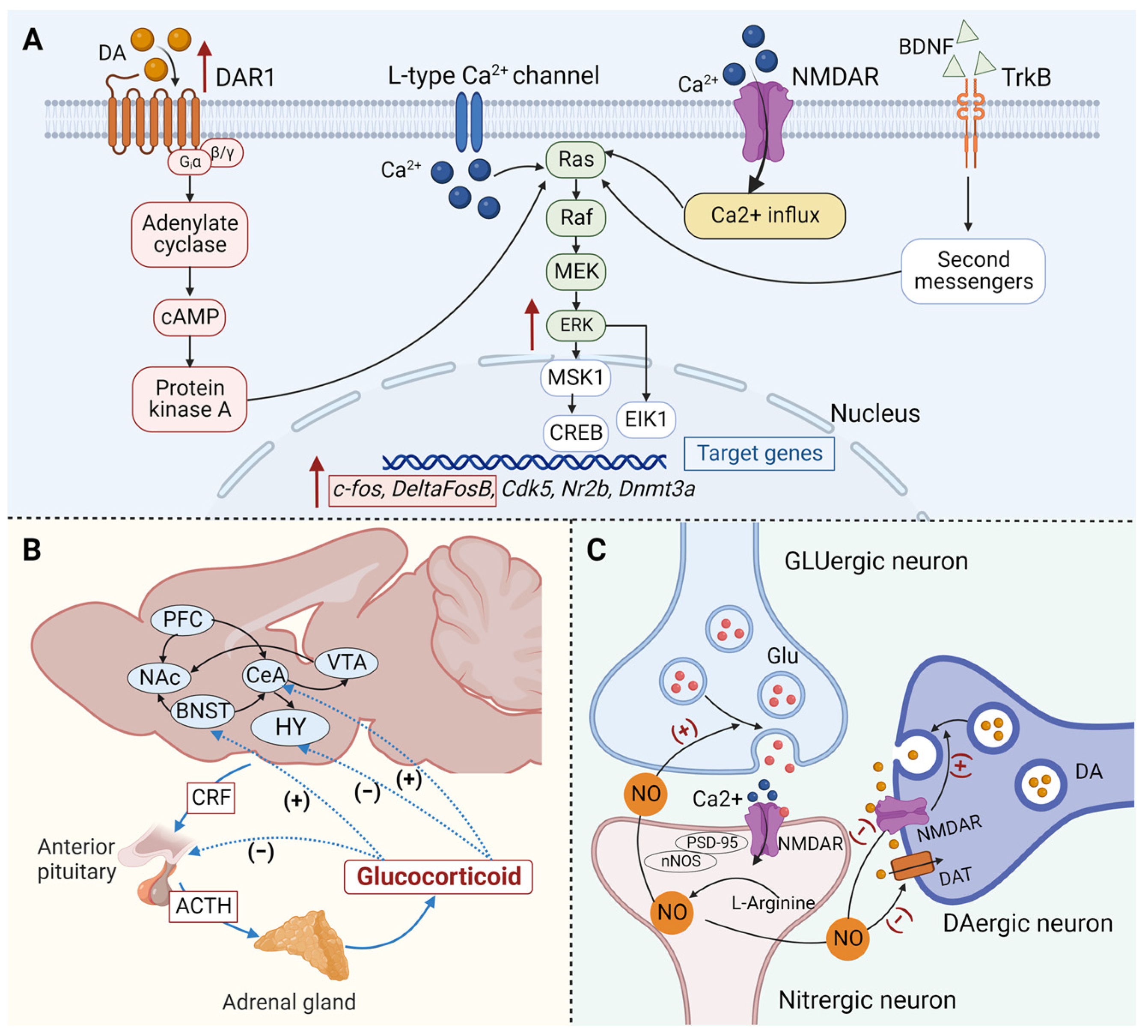 Brainsci 13 01259 g002 Brainsci 13 01259 g002