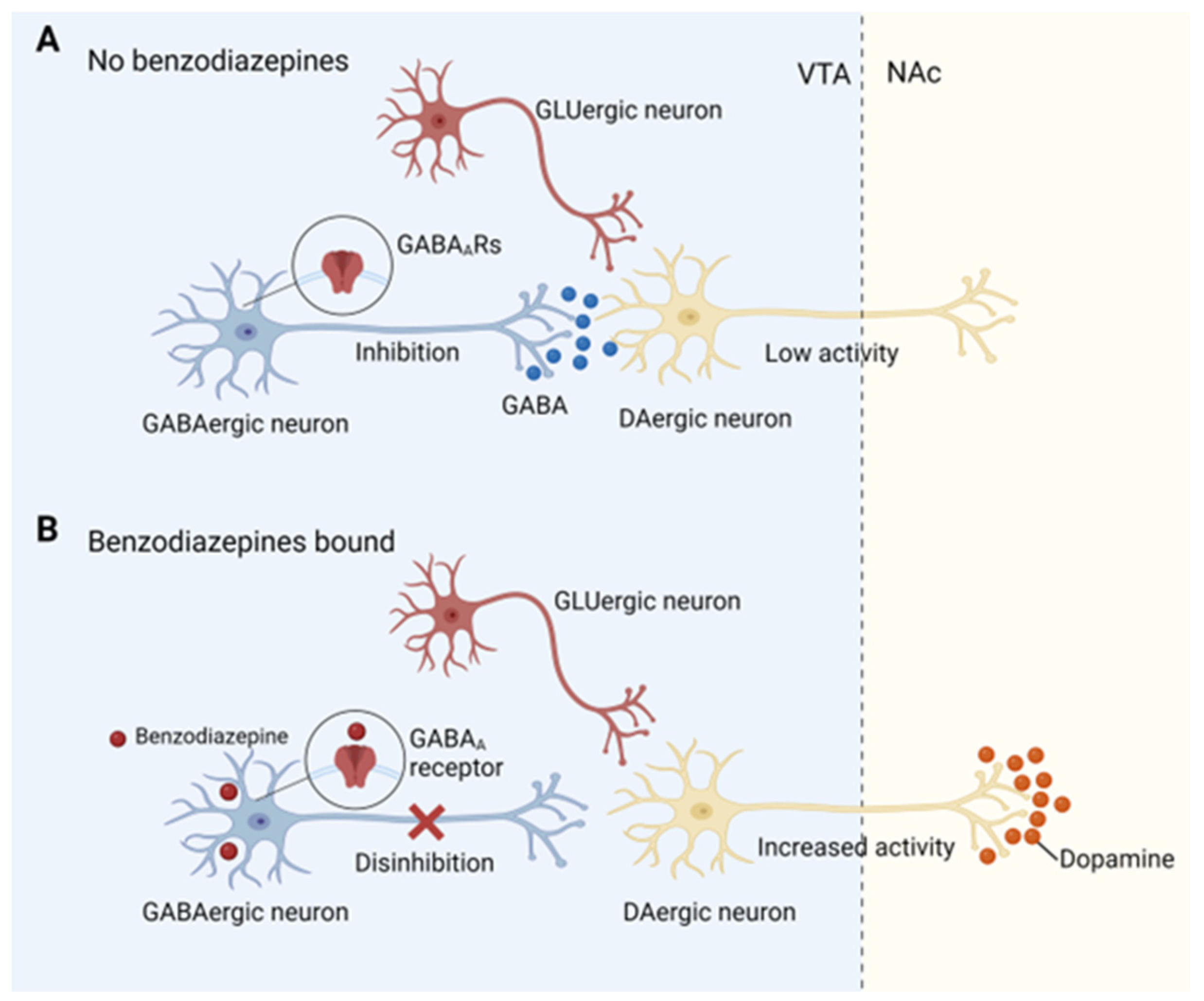 Brainsci 13 01259 g003 Brainsci 13 01259 g003