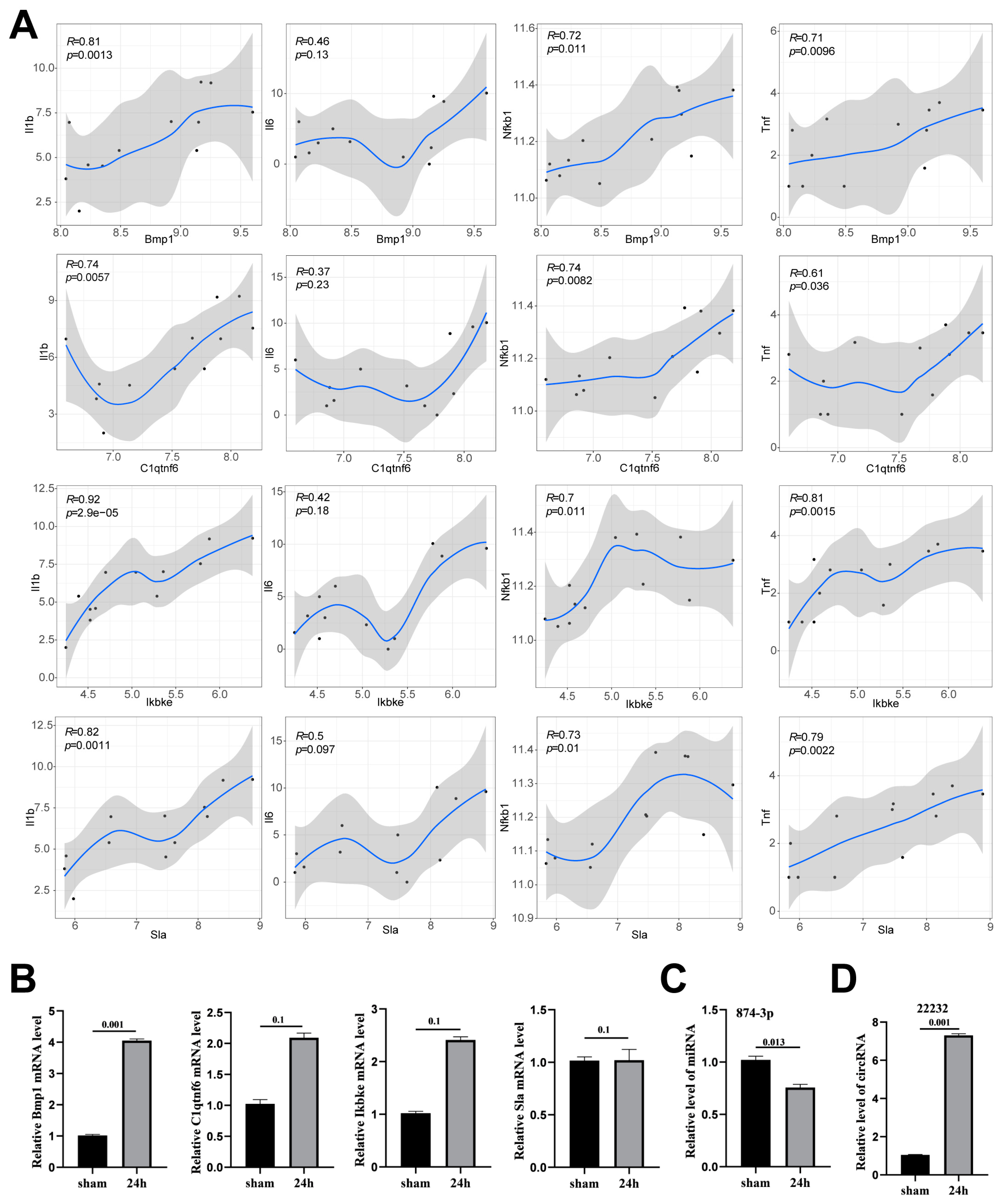 Brainsci 13 01283 g004