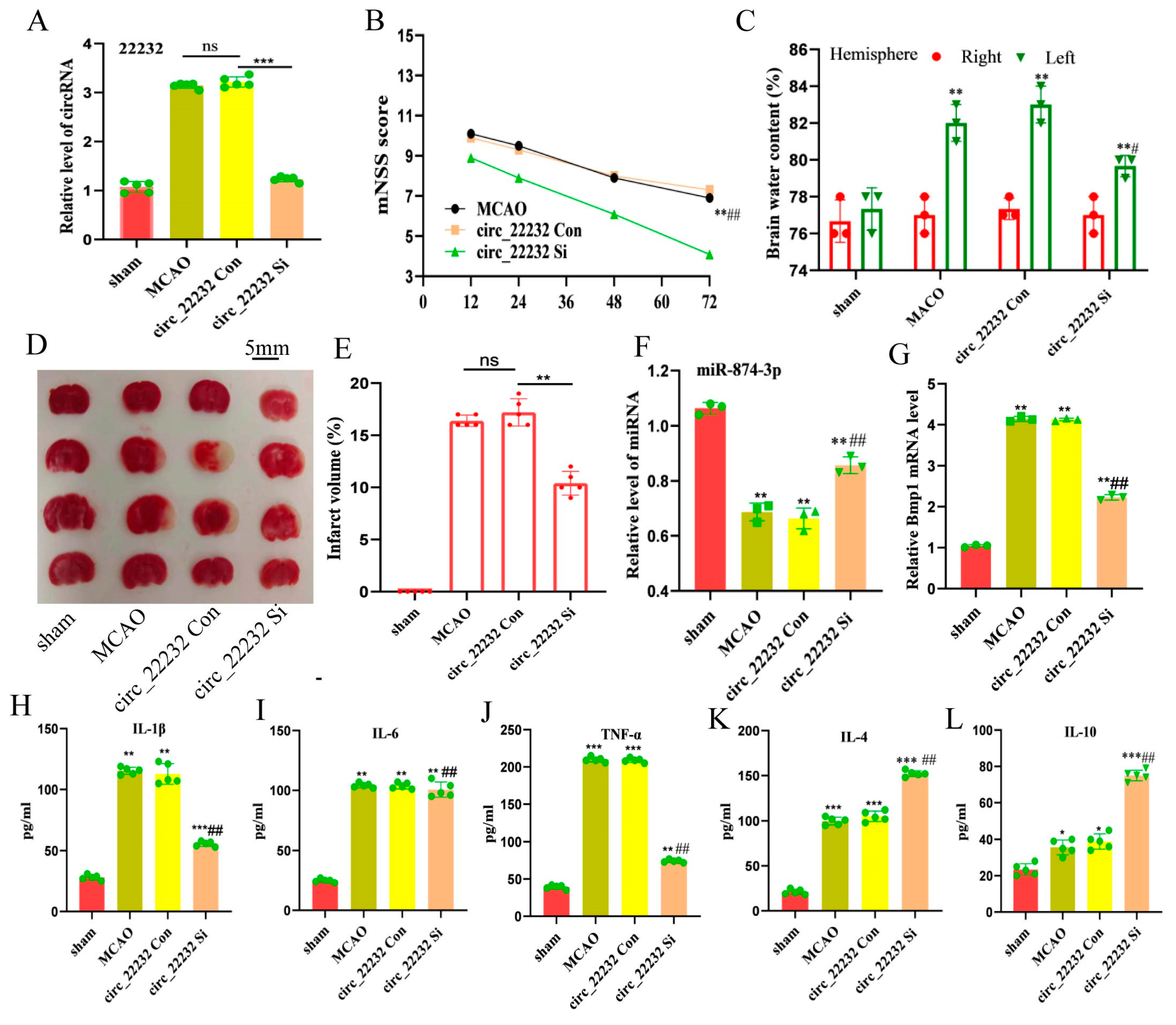 Brainsci 13 01283 g005