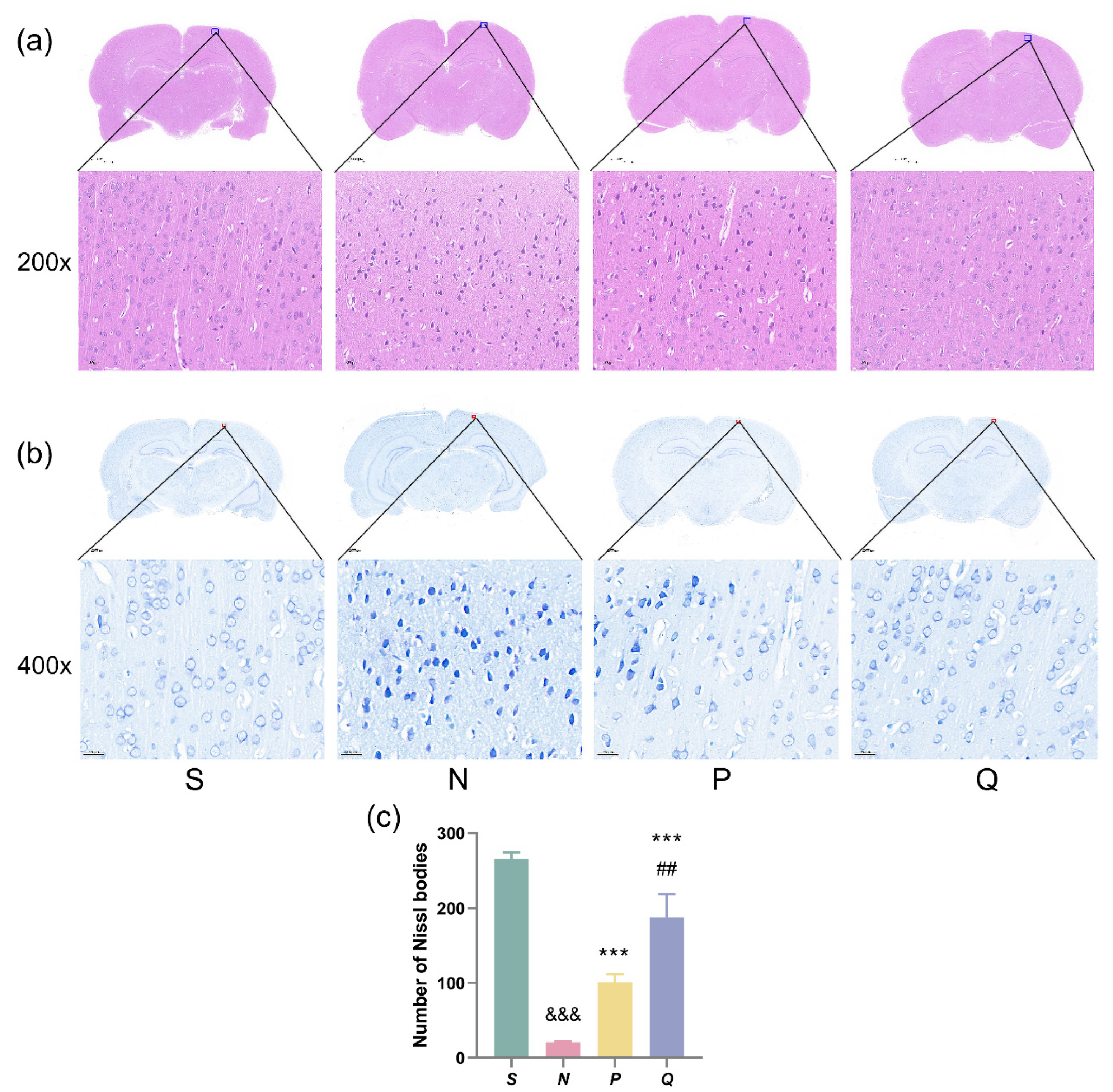 Brainsci 13 01285 g003 Brainsci 13 01285 g003