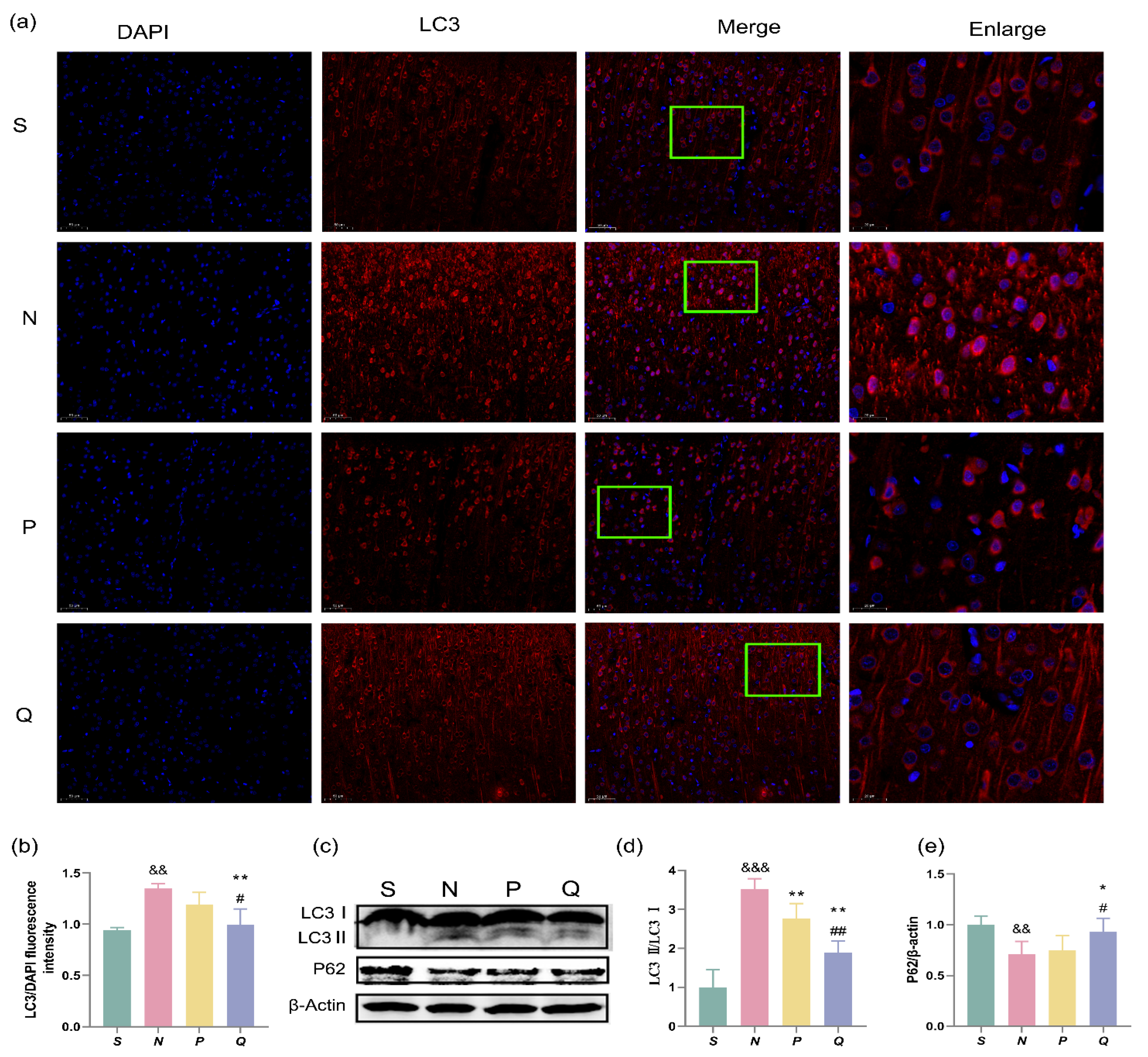 Brainsci 13 01285 g005 Brainsci 13 01285 g005