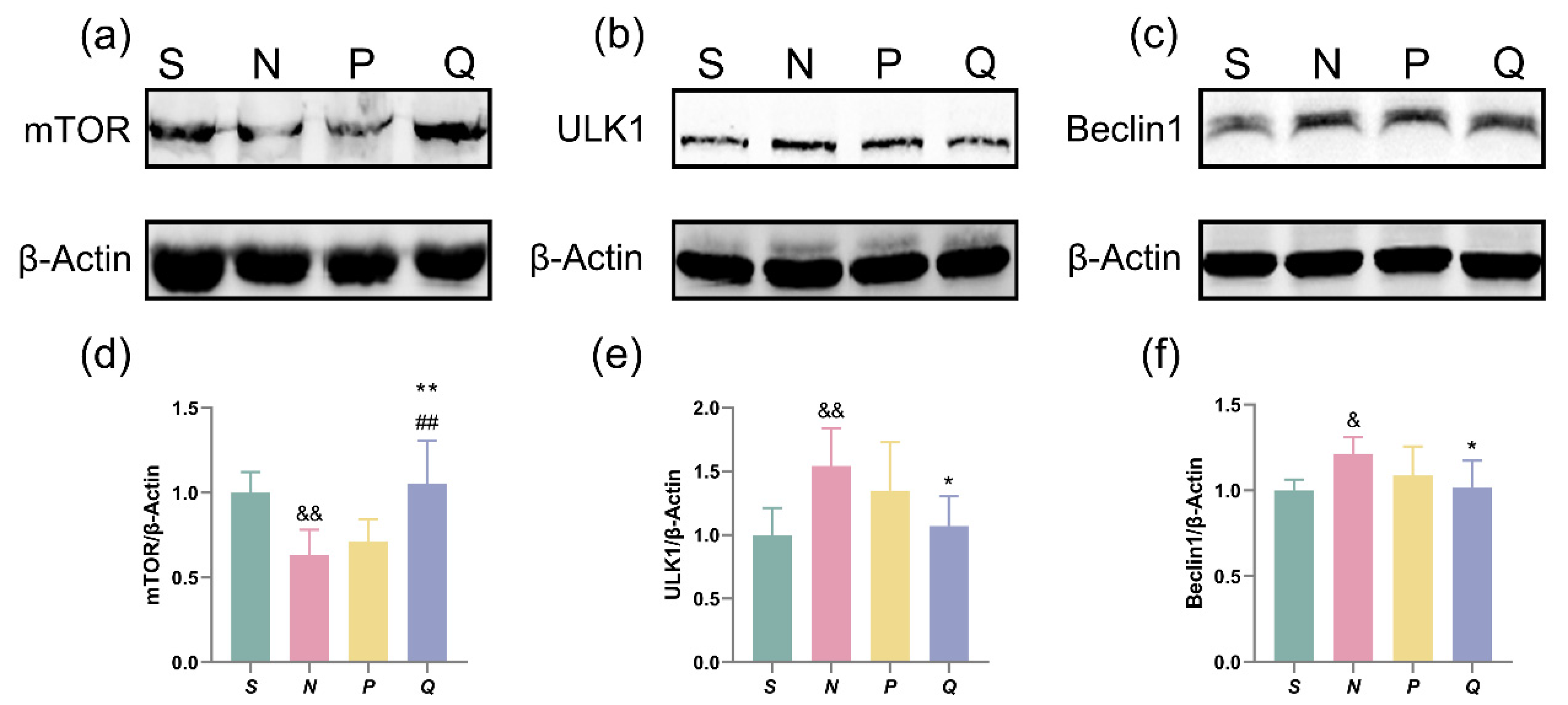 Brainsci 13 01285 g007 Brainsci 13 01285 g007