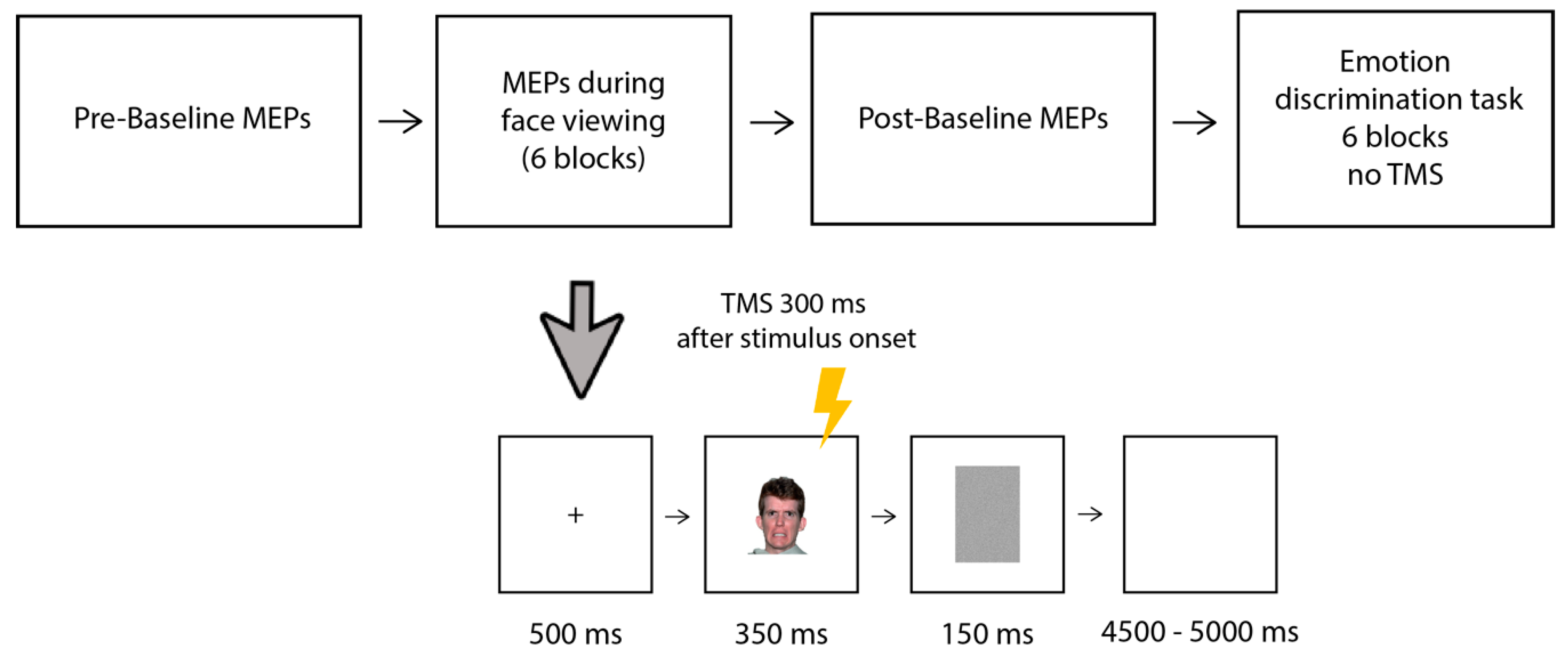 Brainsci 13 01291 g001 Brainsci 13 01291 g001