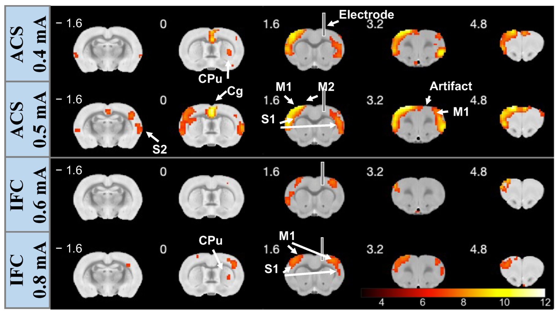 Brainsci 13 01317 g002