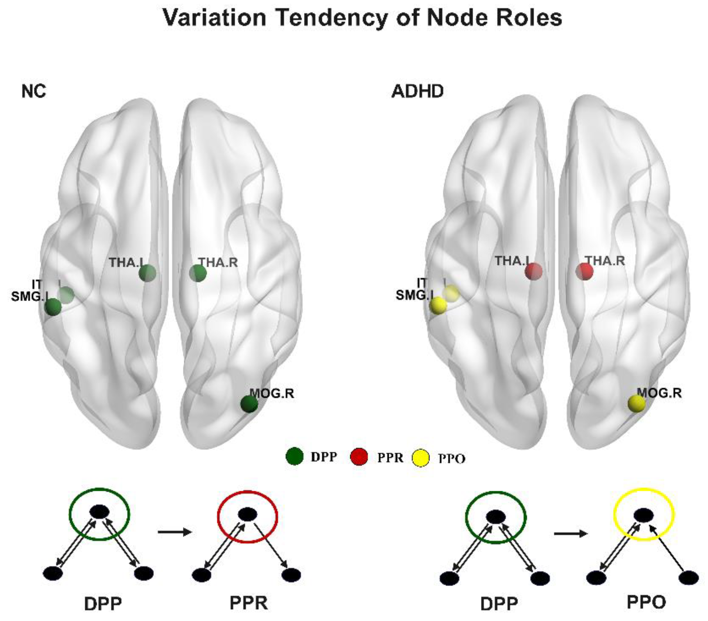 Brainsci 13 01331 g006