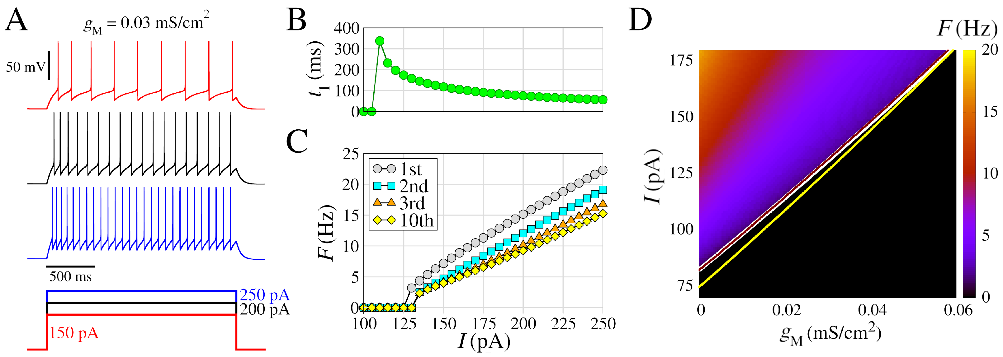 Learning the dynamics of realistic models of C. elegans nervous