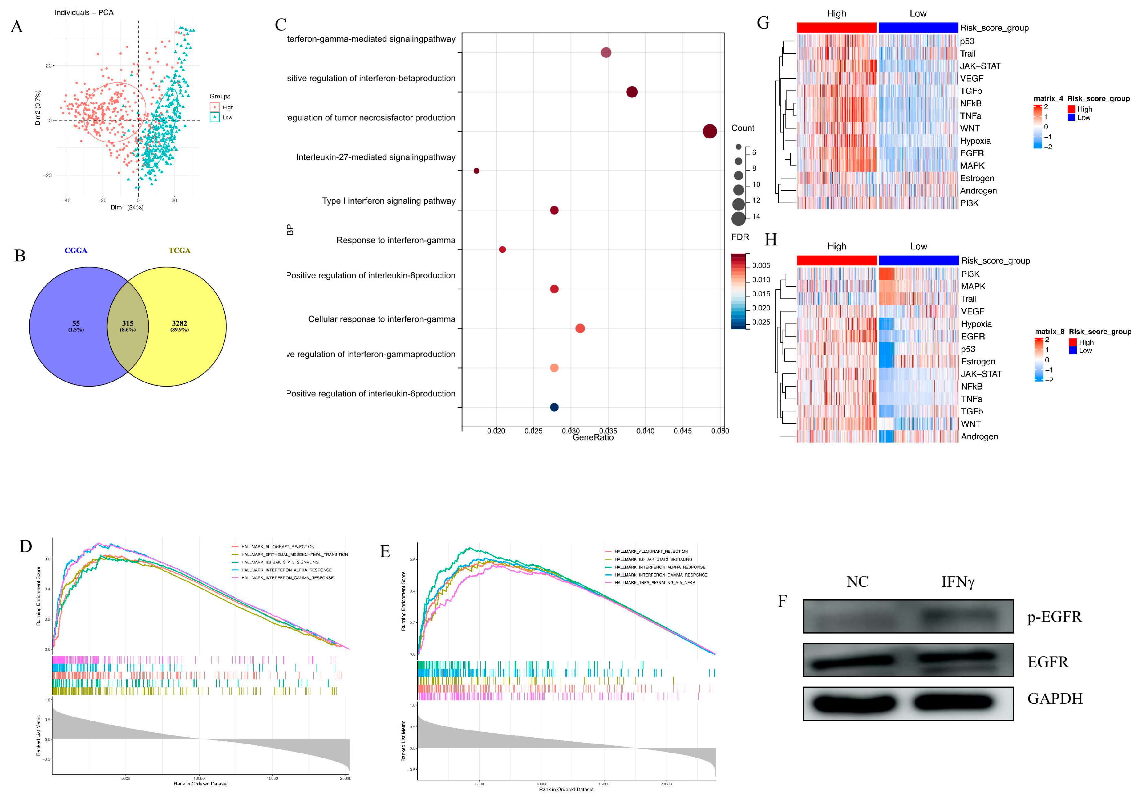 Brainsci 13 01349 g003