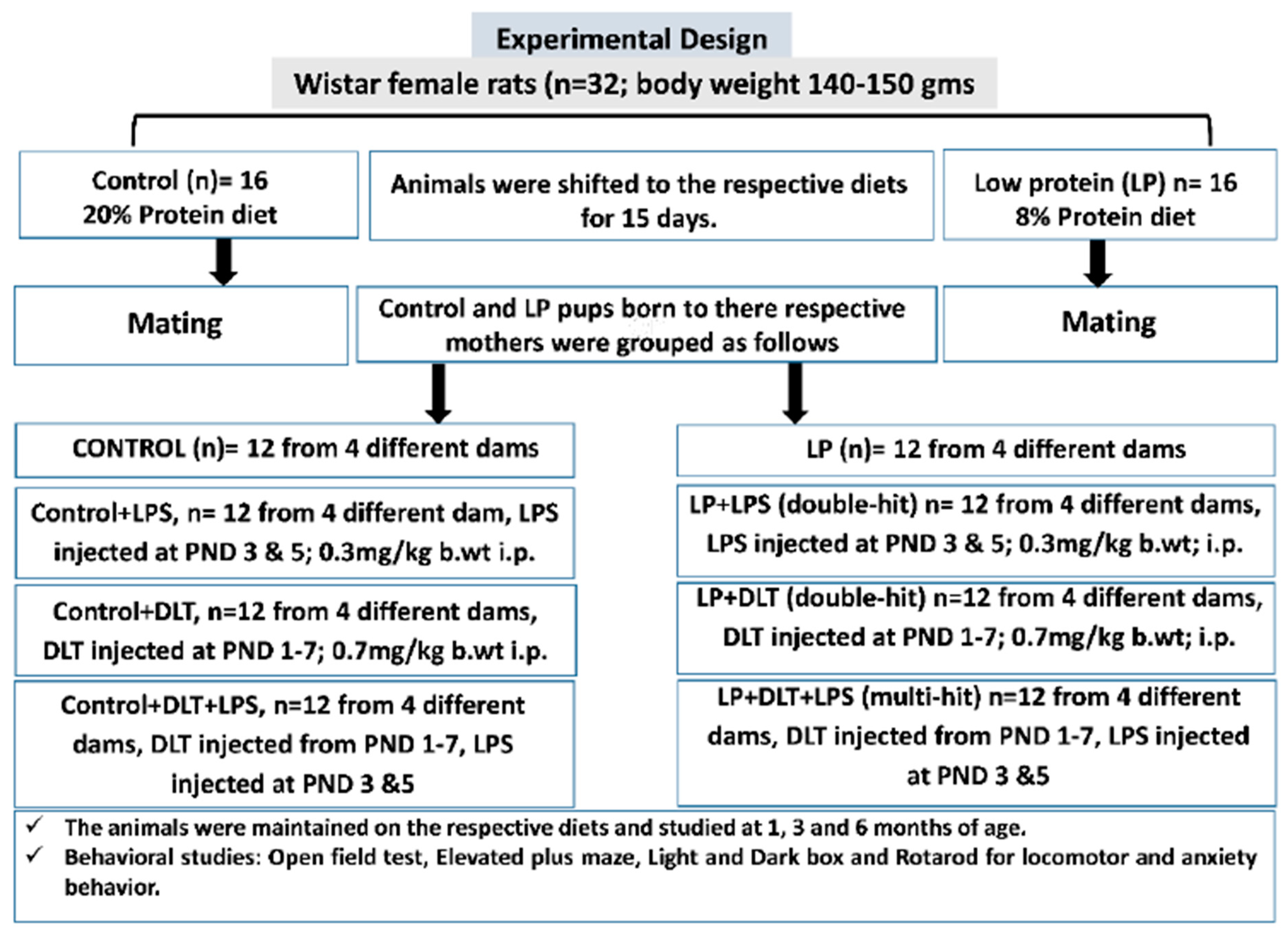 Brainsci 13 01360 g001 Brainsci 13 01360 g001