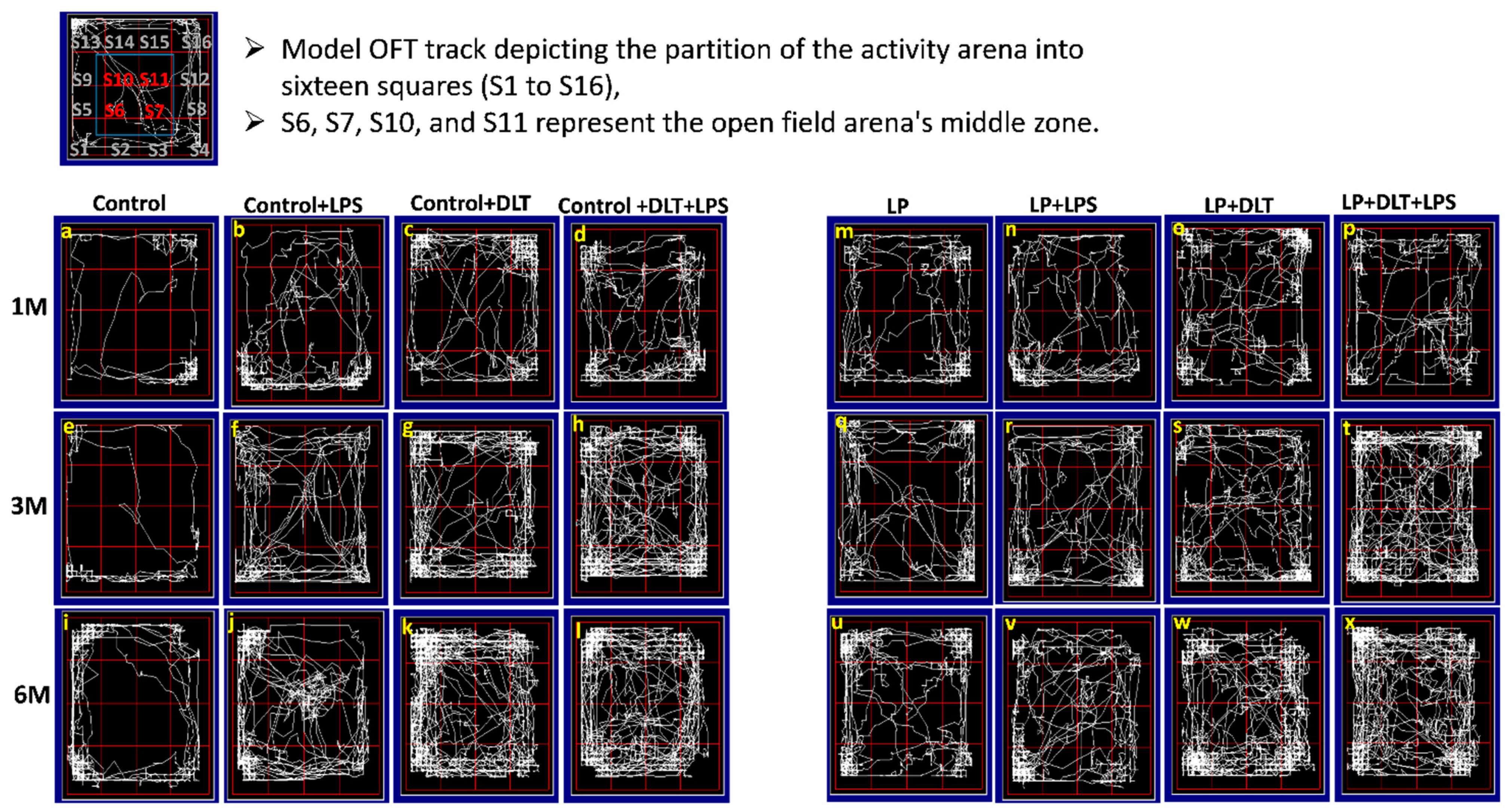 Brainsci 13 01360 g004 Brainsci 13 01360 g004