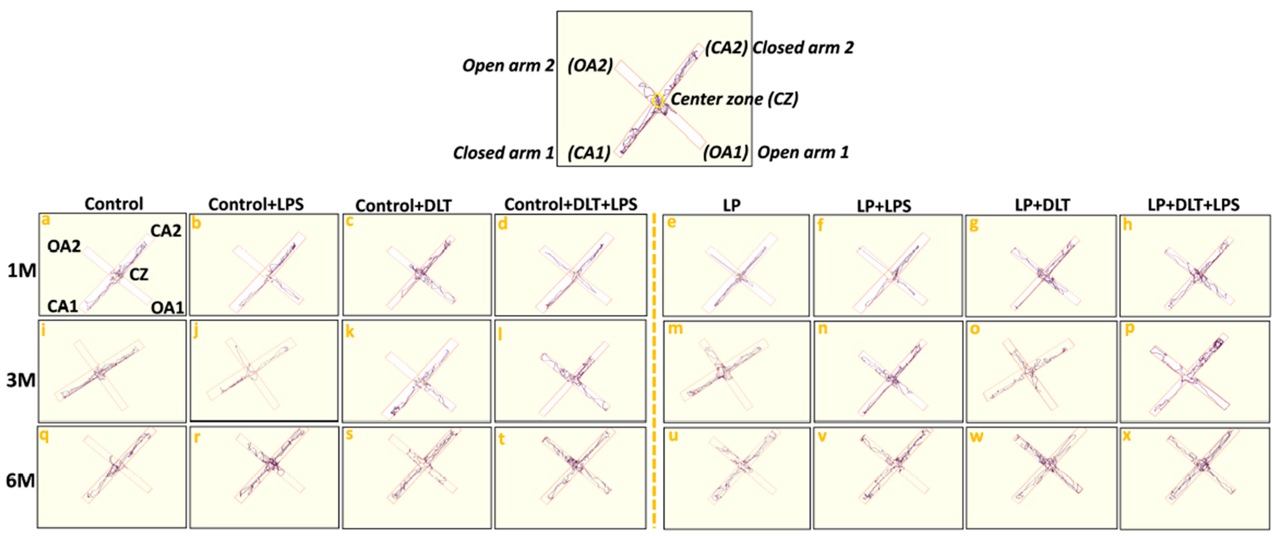 Brainsci 13 01360 g006 Brainsci 13 01360 g006