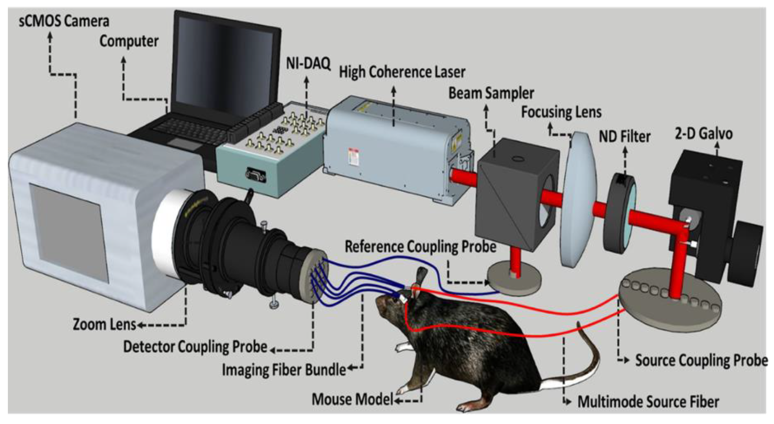 Brainsci 13 01365 g001