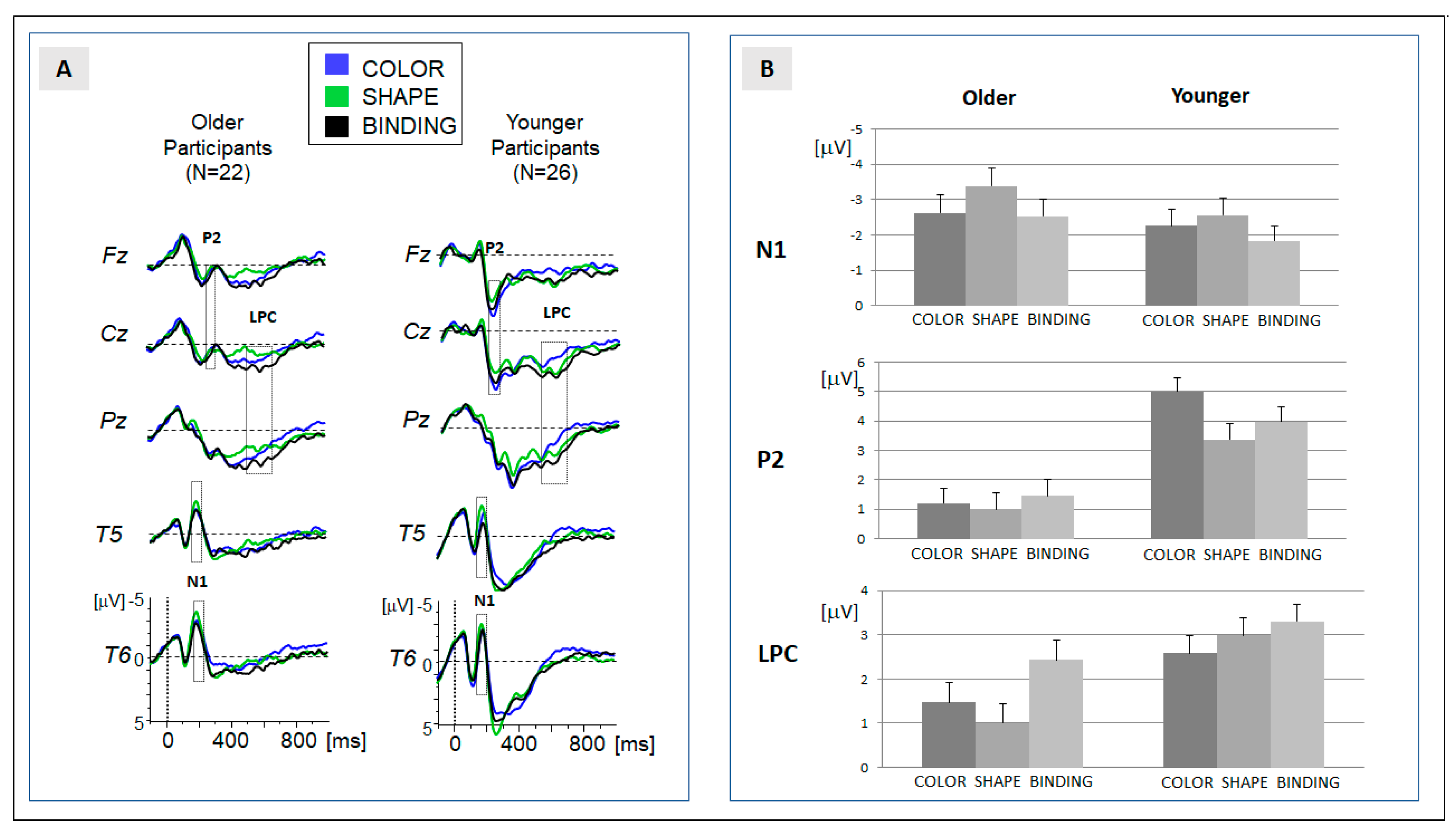 Brainsci 13 01389 g002 Brainsci 13 01389 g002