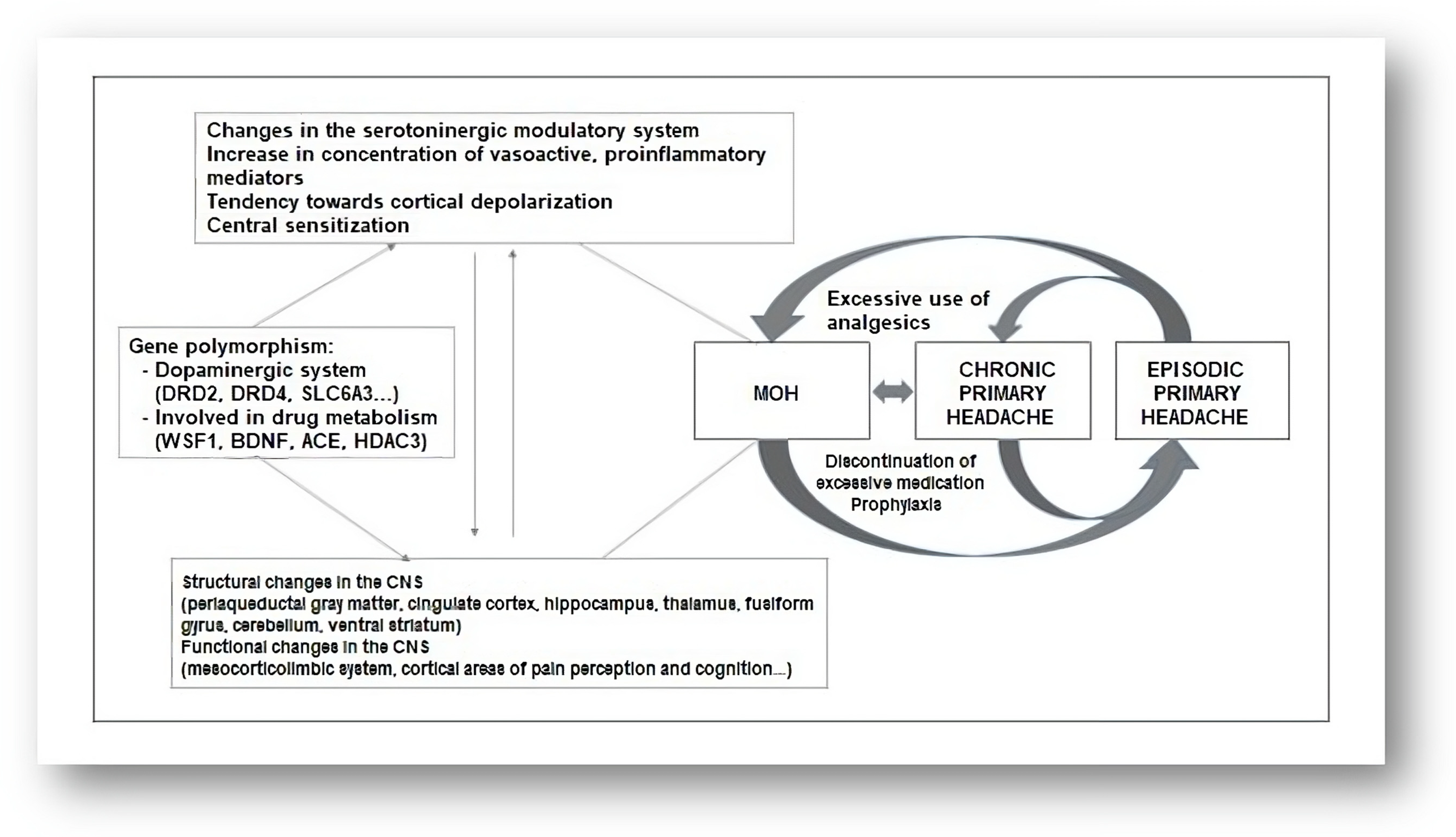 Brain Sciences, Free Full-Text