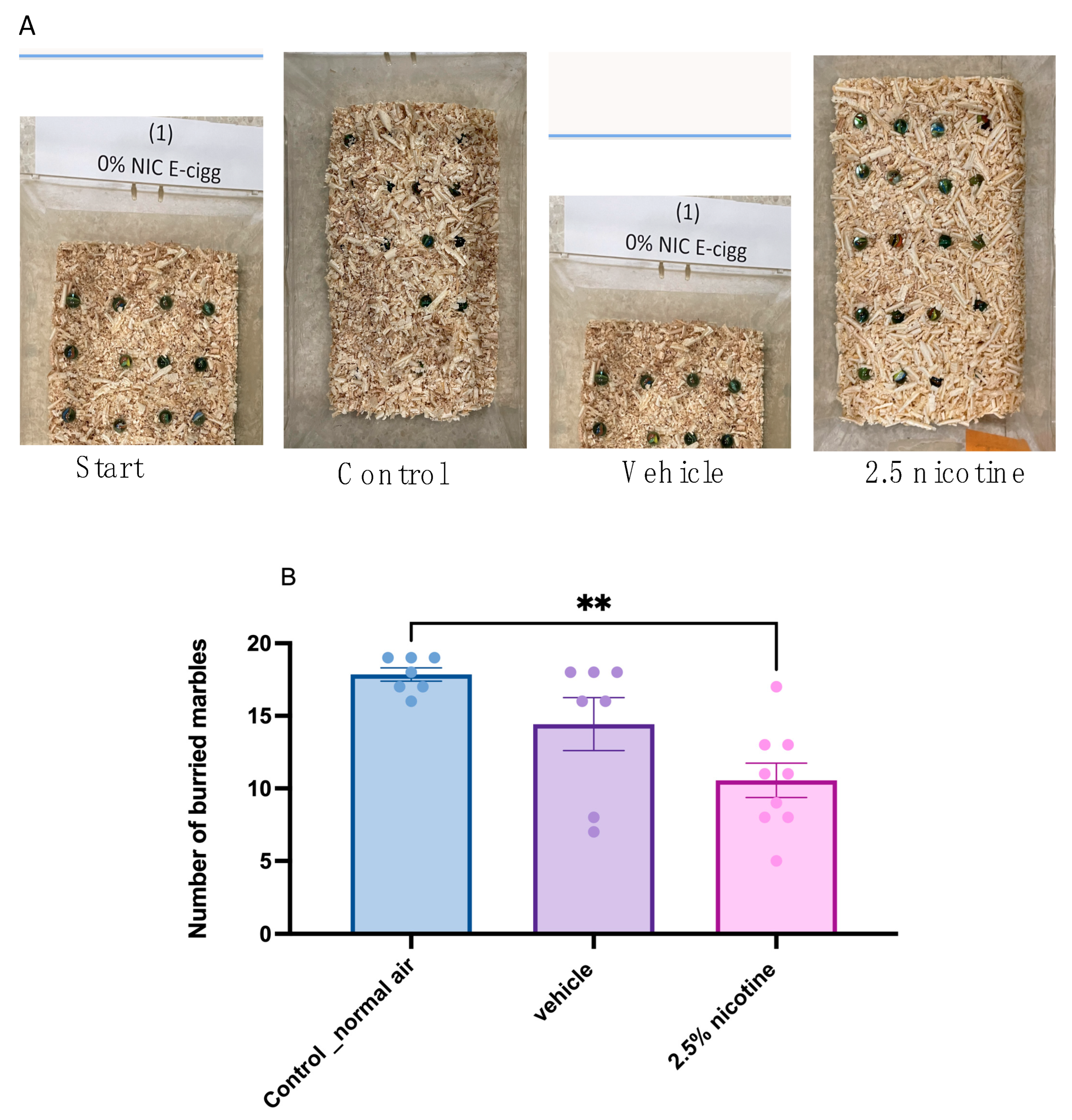 Brainsci 13 01417 g004