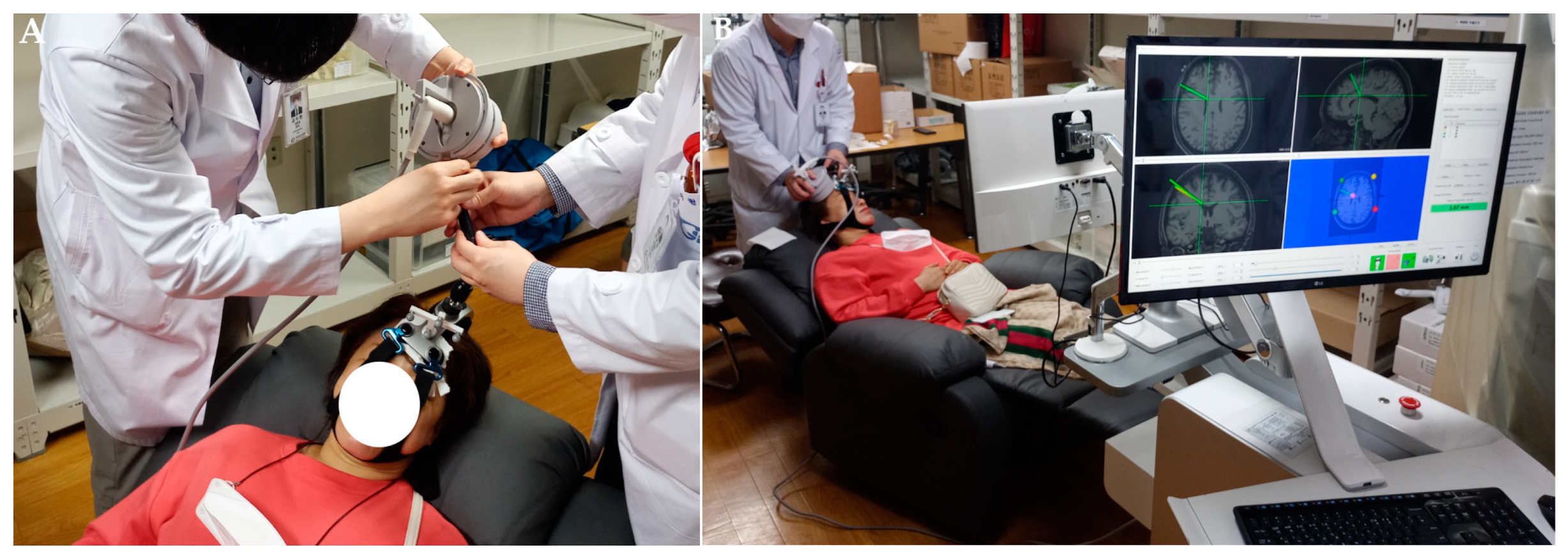 Brainsci 13 01433 g002