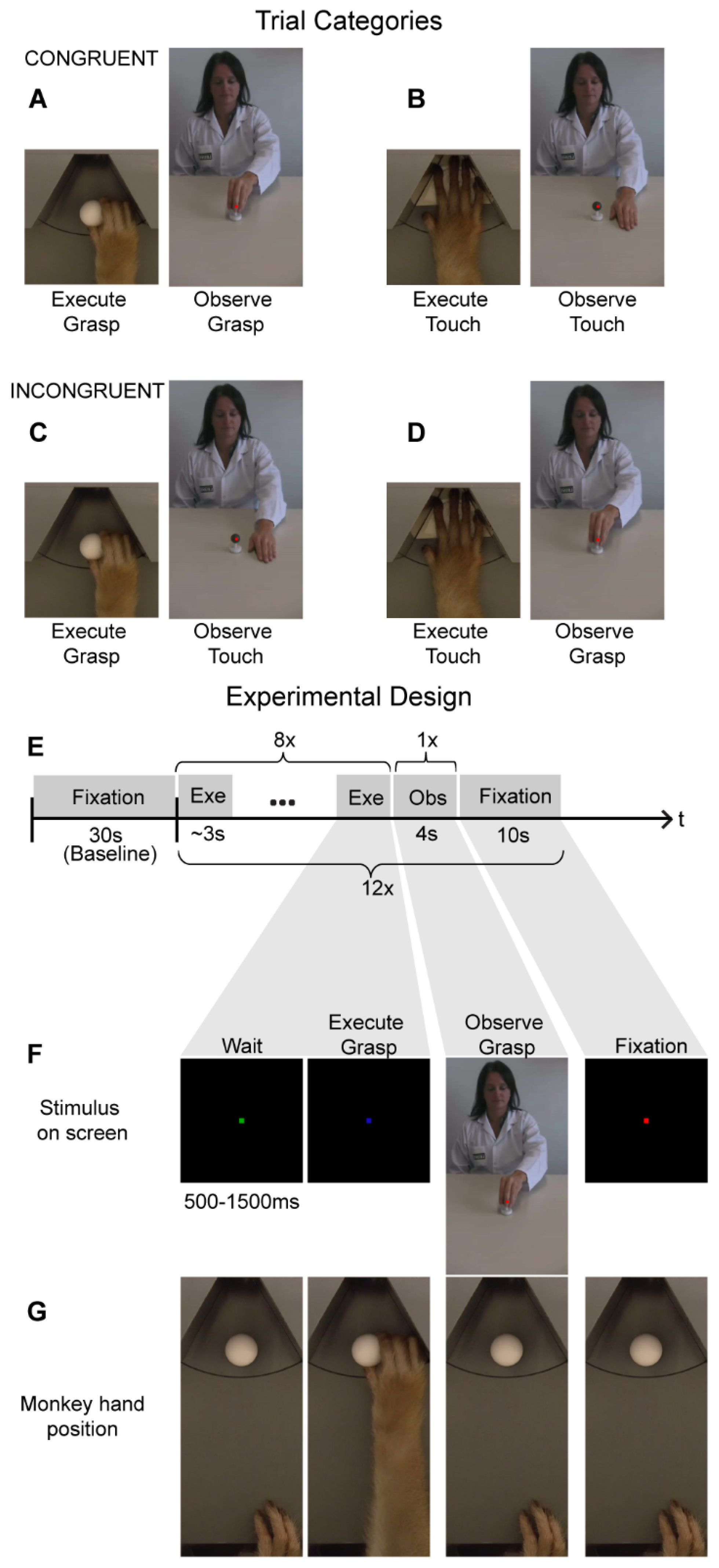 Brainsci 13 01466 g001