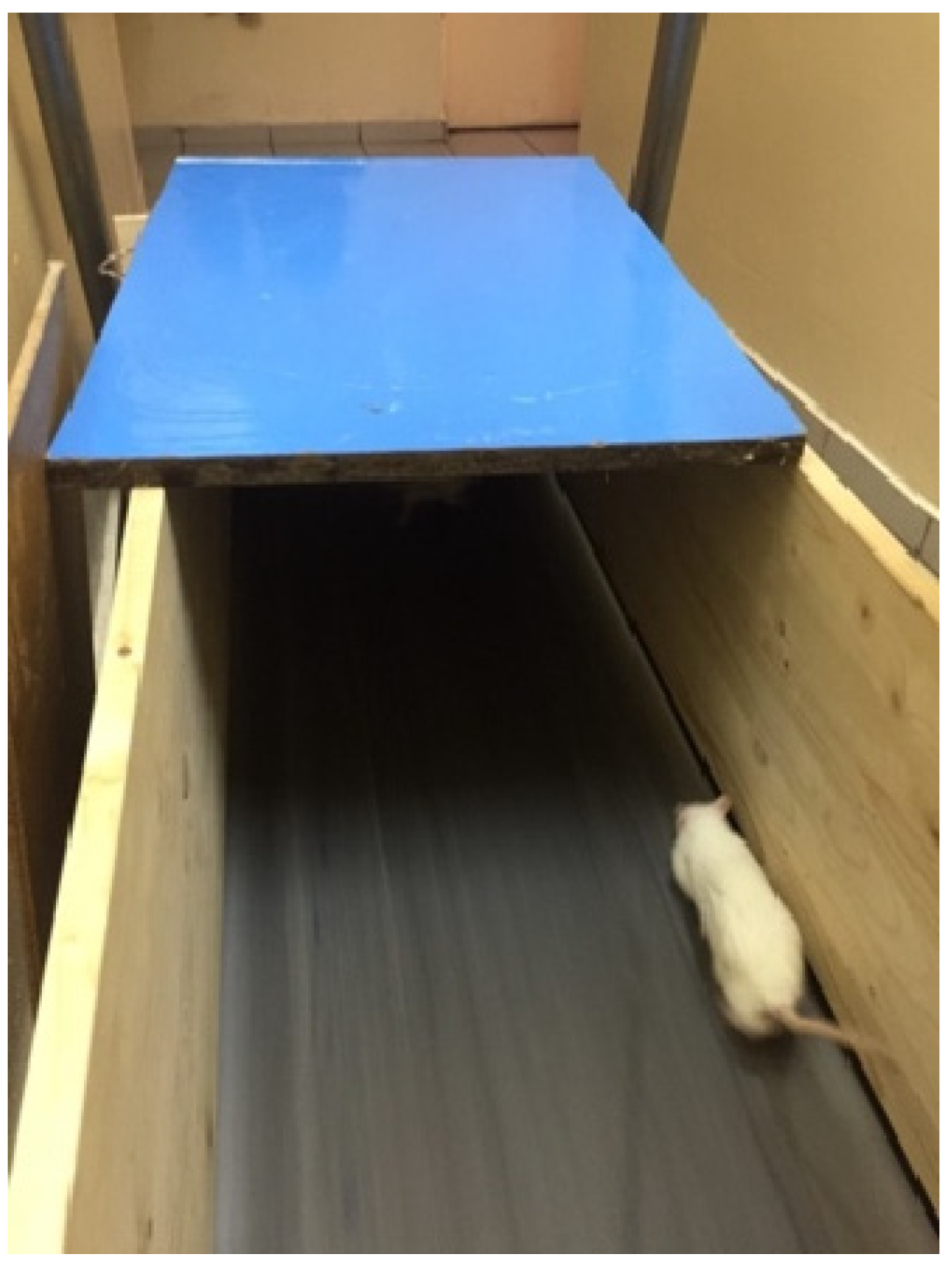 Brainsci 13 01492 g001