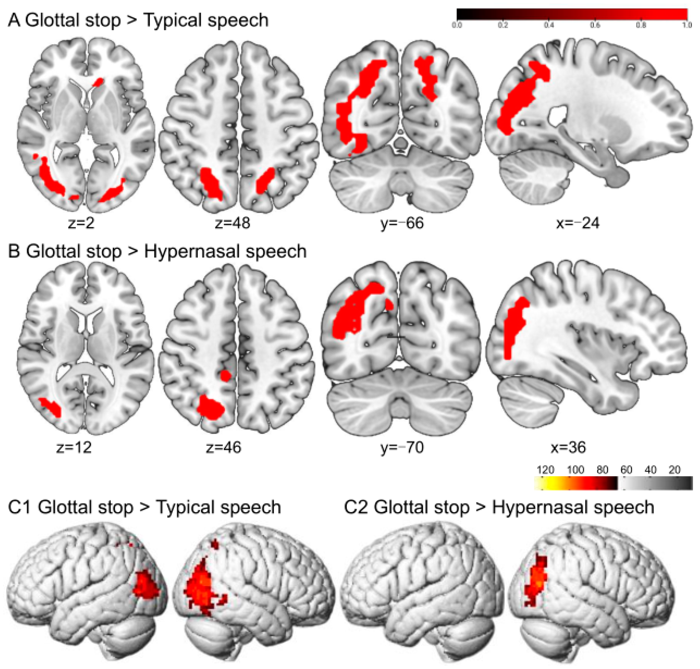 Brainsci 13 01506 g003