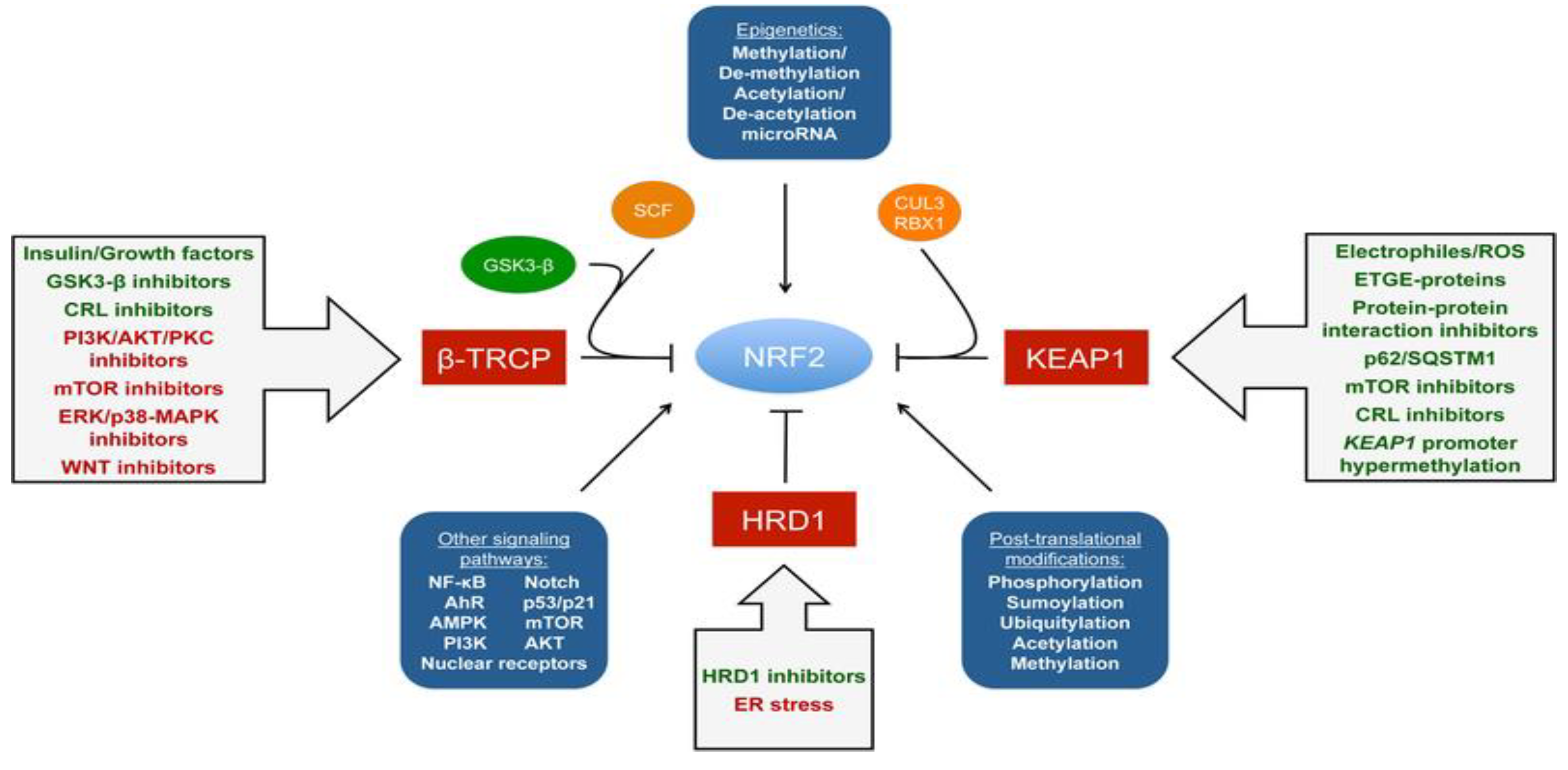 Brainsci 13 01532 g002 Brainsci 13 01532 g002