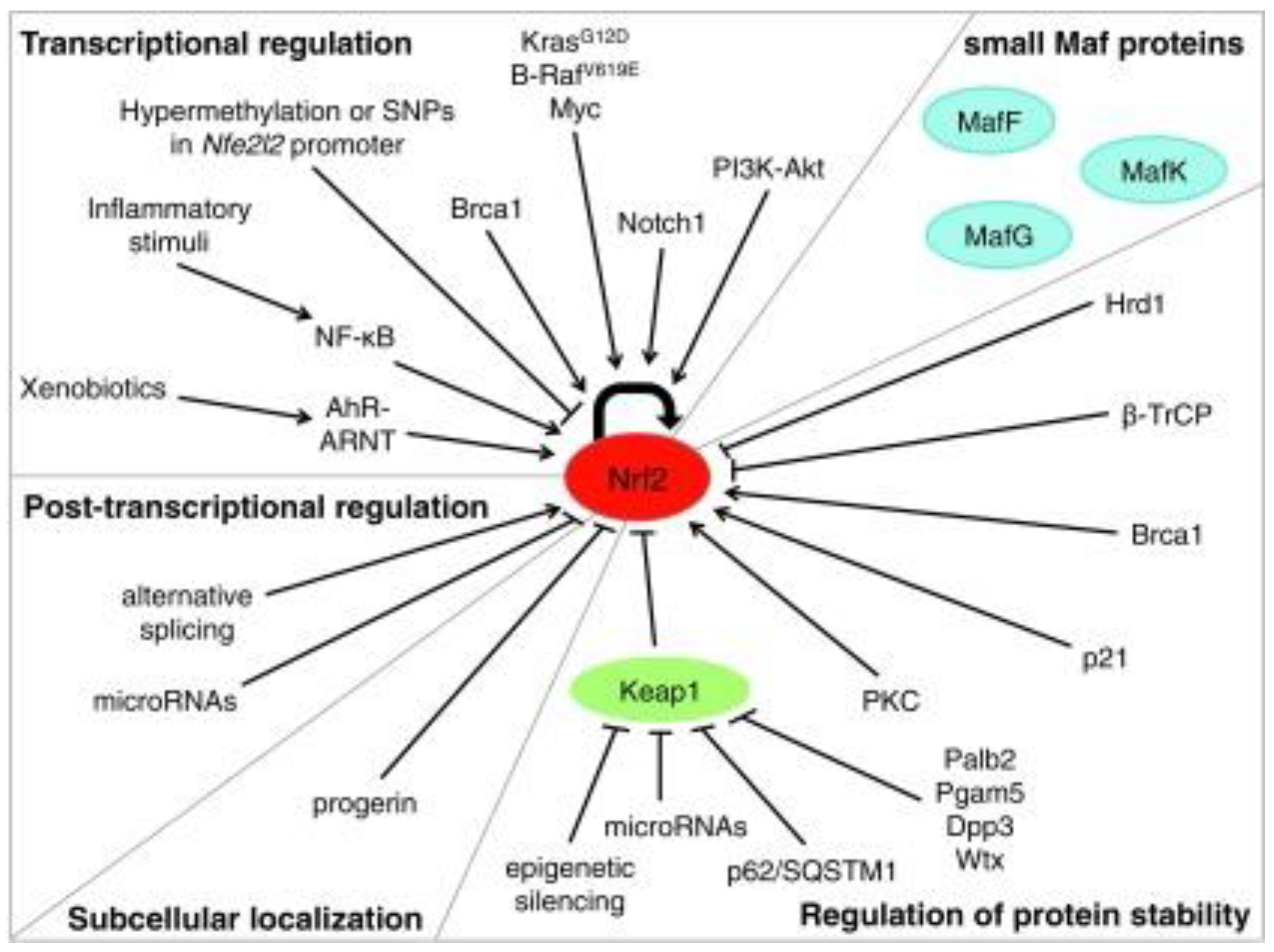 Brainsci 13 01532 g005 Brainsci 13 01532 g005