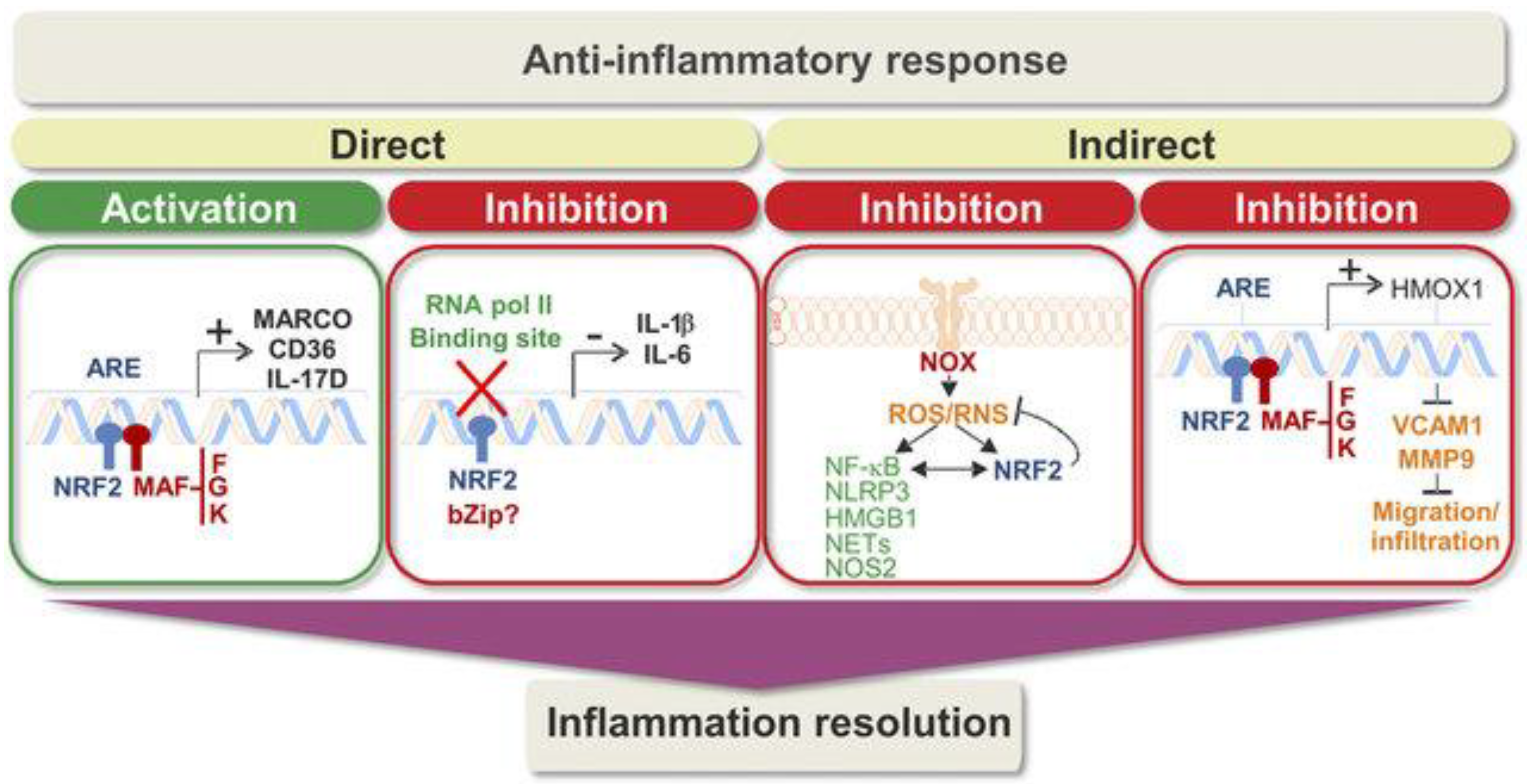 Brainsci 13 01532 g006 Brainsci 13 01532 g006