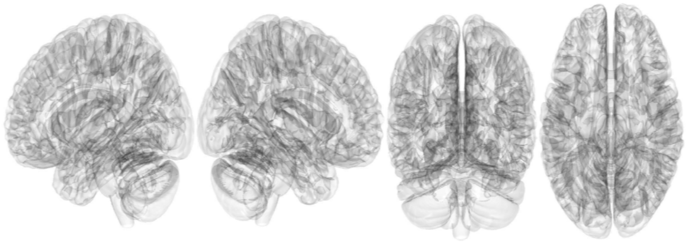 Brainsci 13 01560 g005