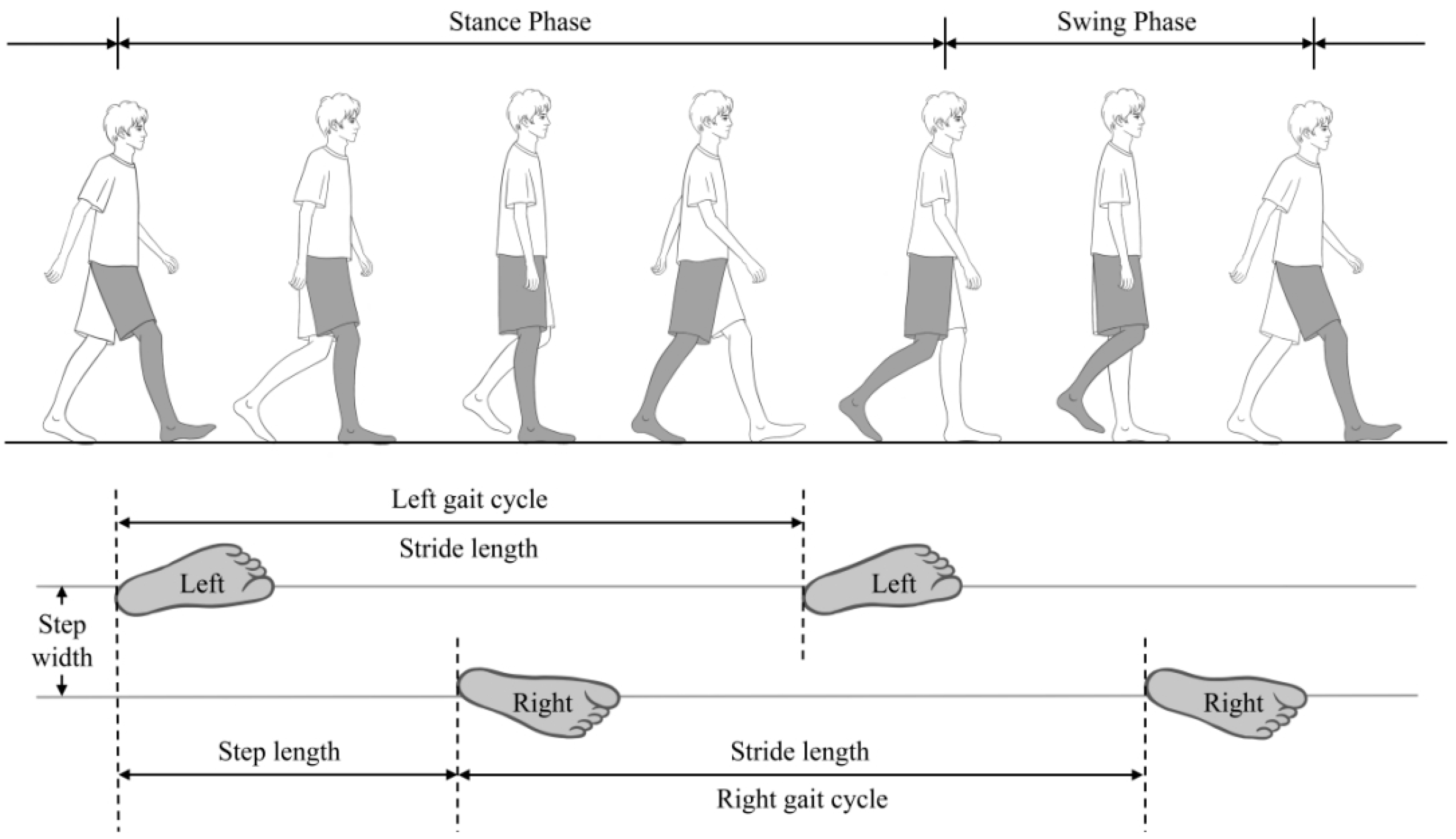 Brain Sciences | Free Full-Text | Gait Domains May Be Used as an