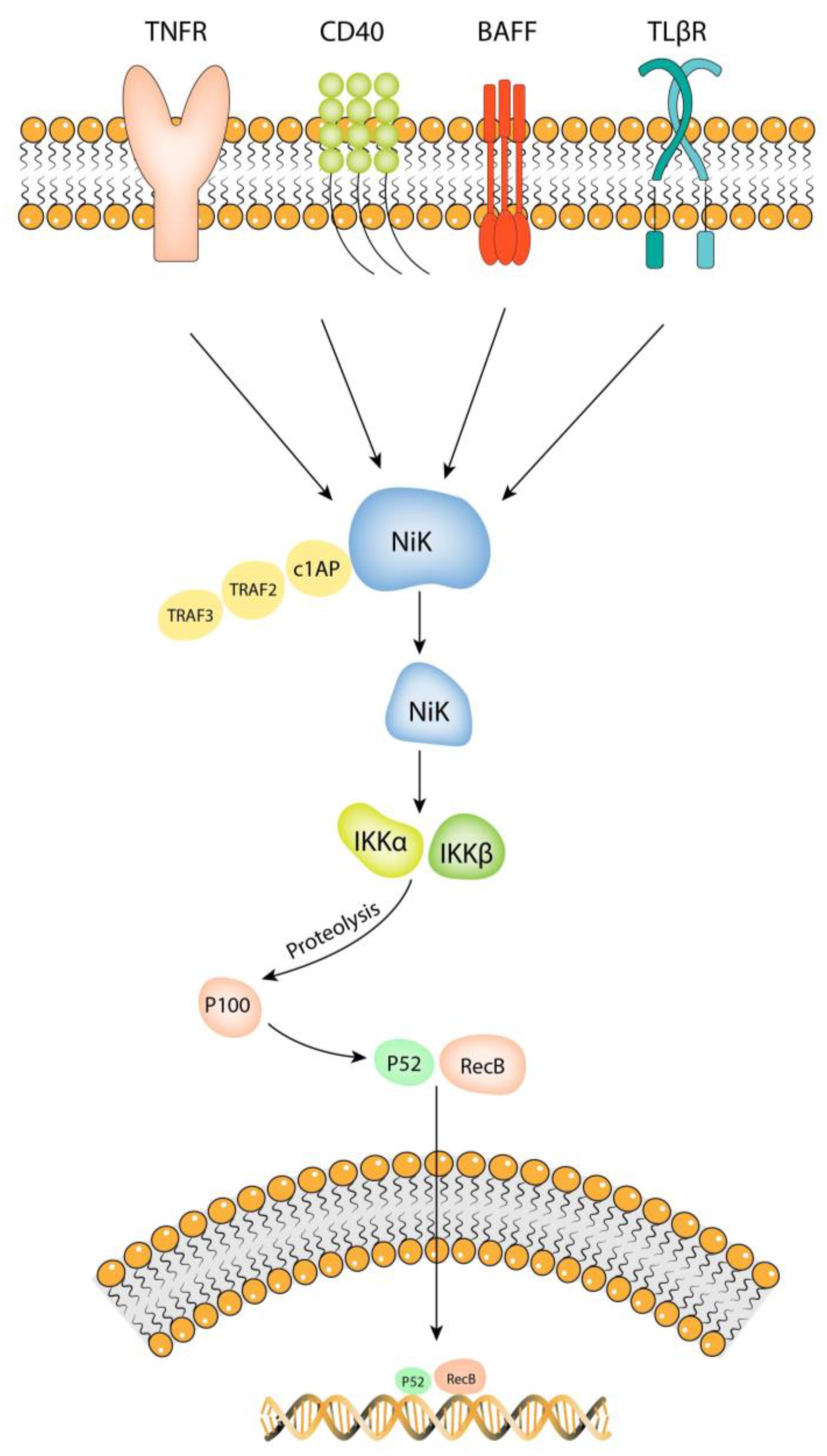 Brainsci 13 01660 g002