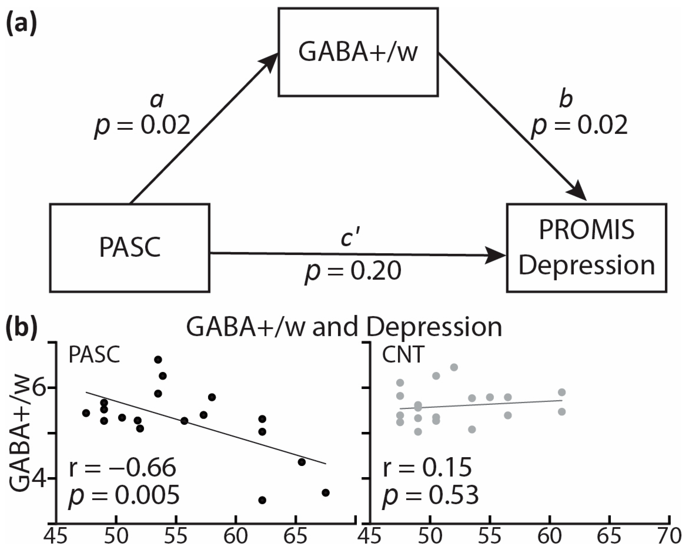 Brainsci 13 01666 g006