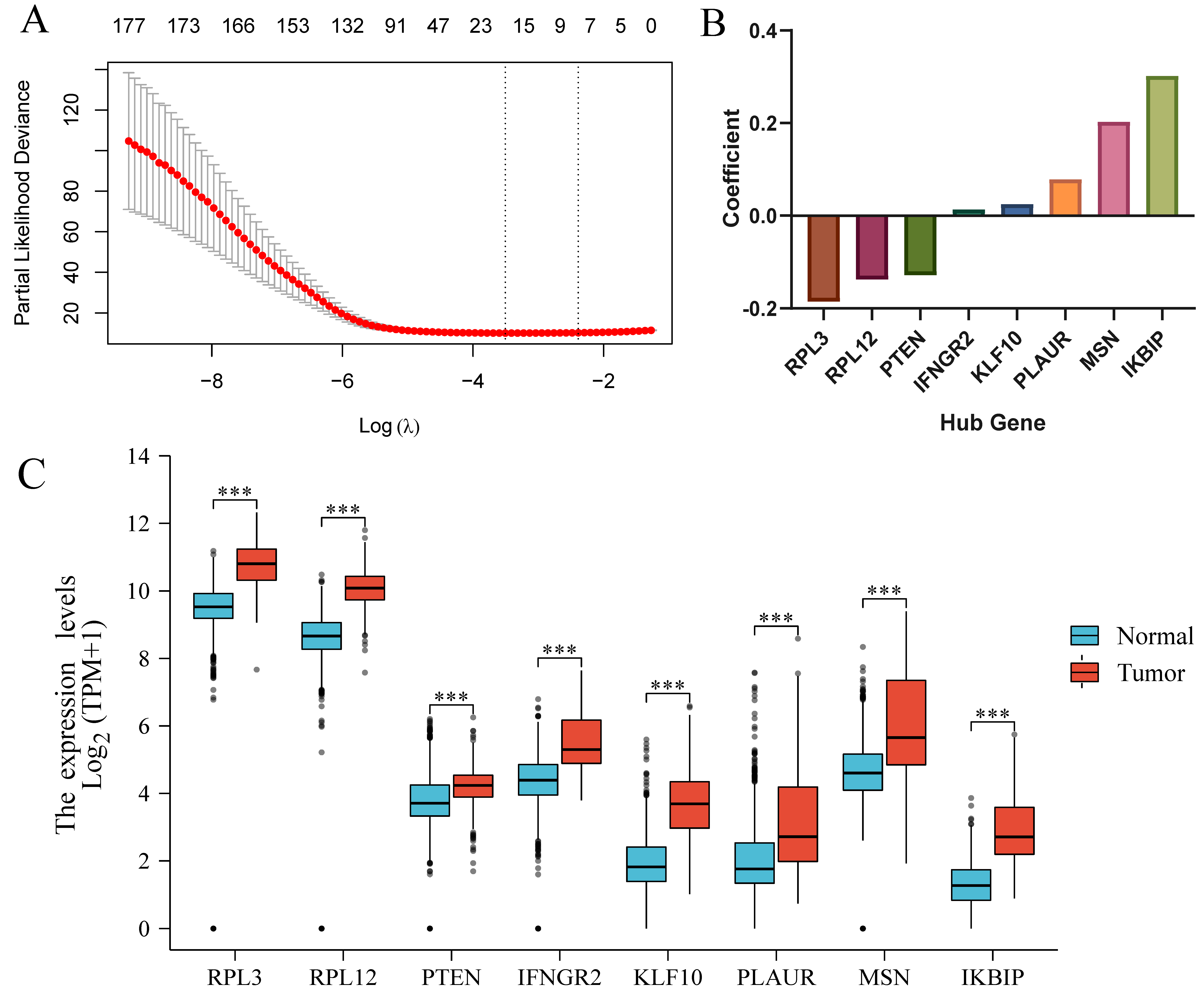 Brainsci 13 01667 g003