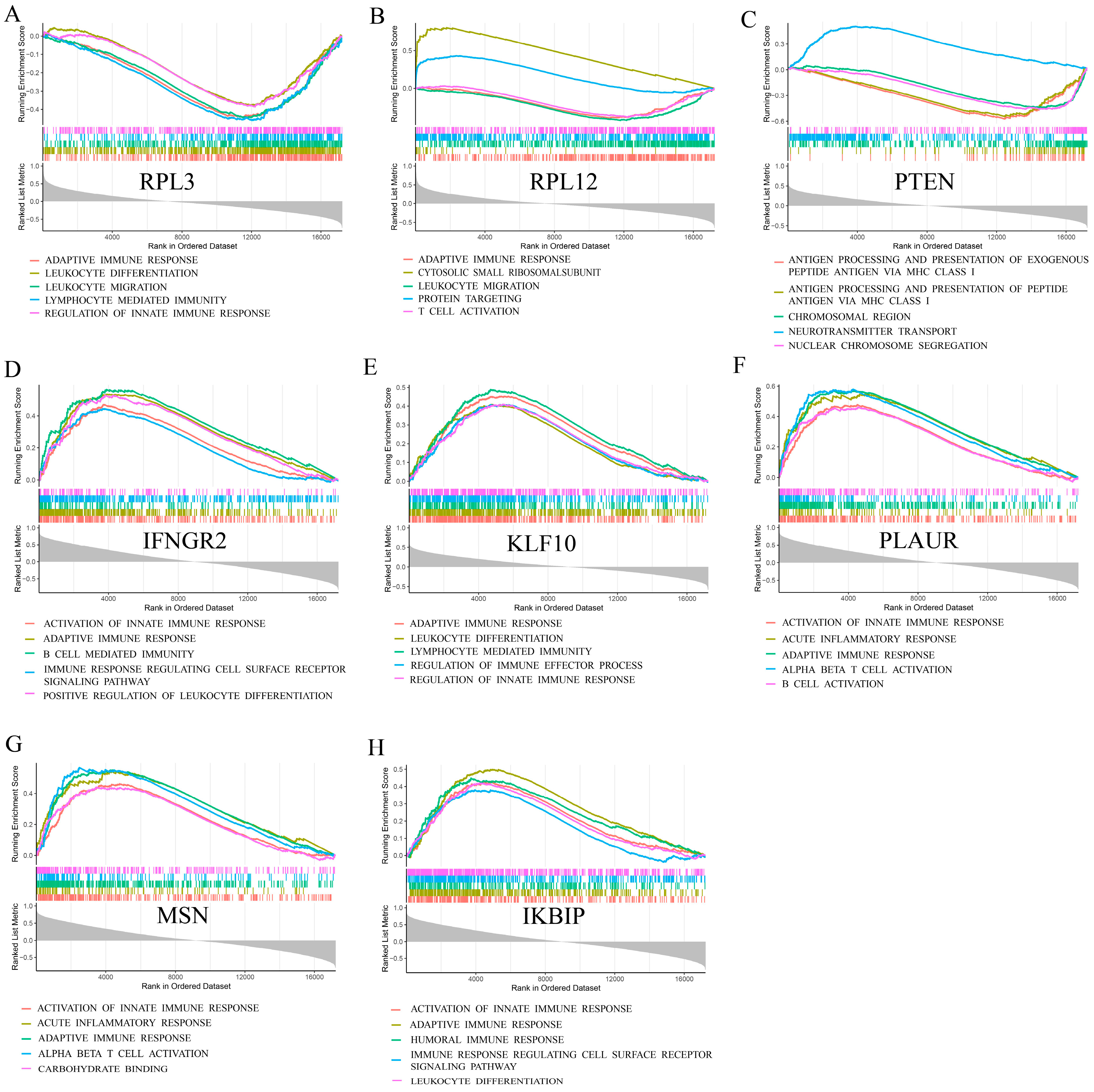 Brainsci 13 01667 g005