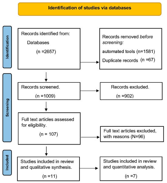 Brain Sciences, Free Full-Text