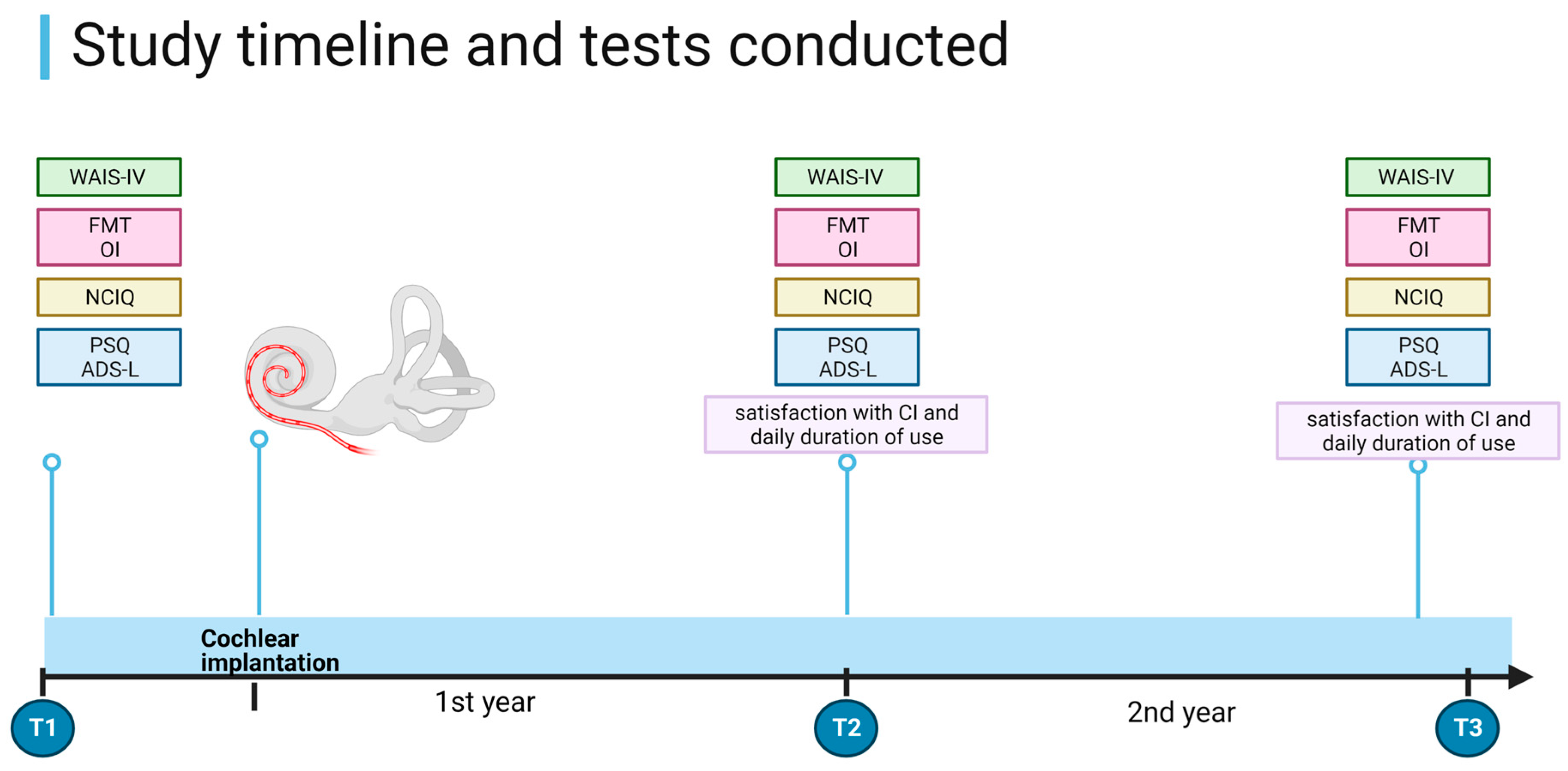 Brainsci 13 01673 g001