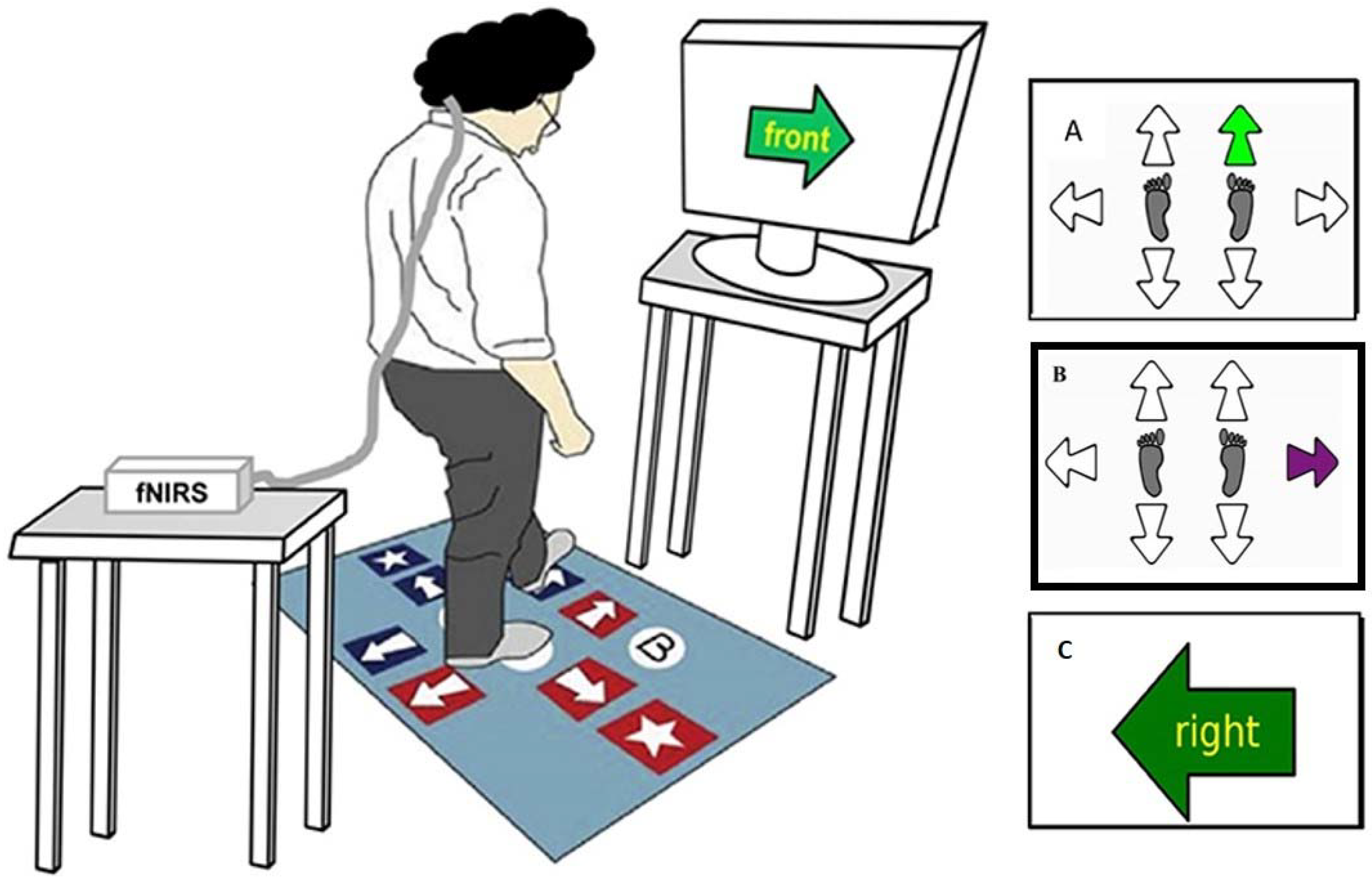 Brainsci 13 01675 g001