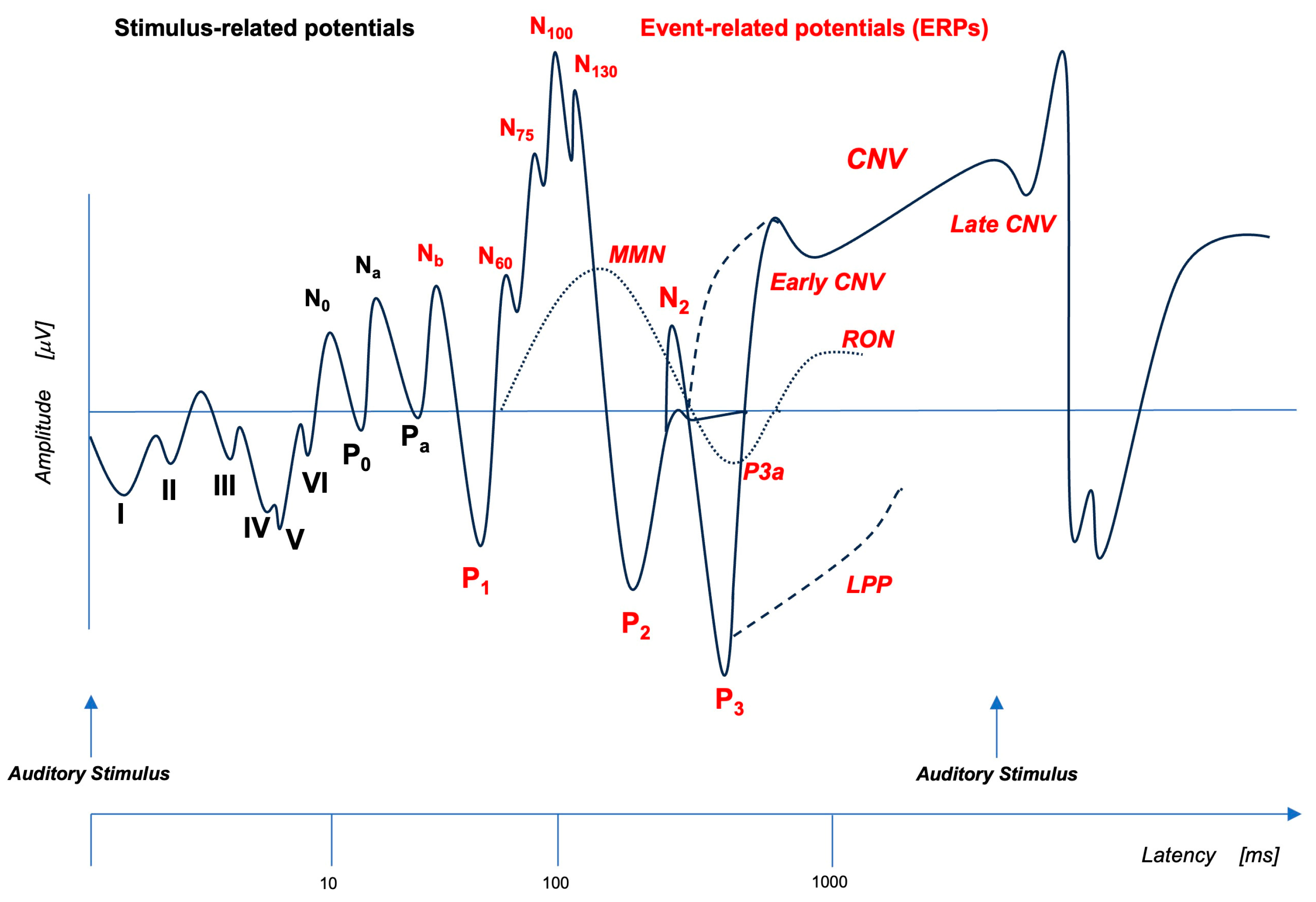 Brainsci 13 01683 g001