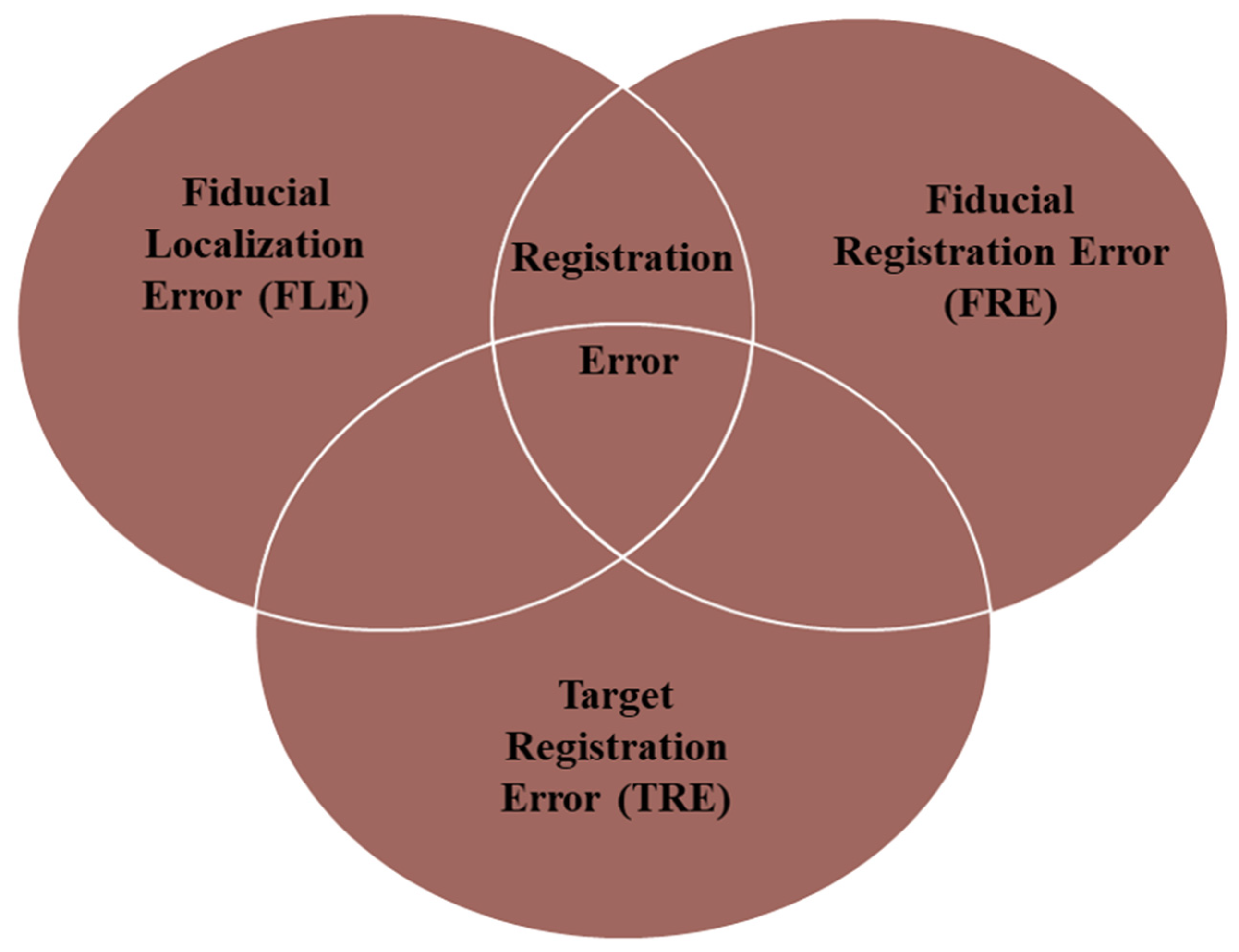 Brainsci 13 01695 g006