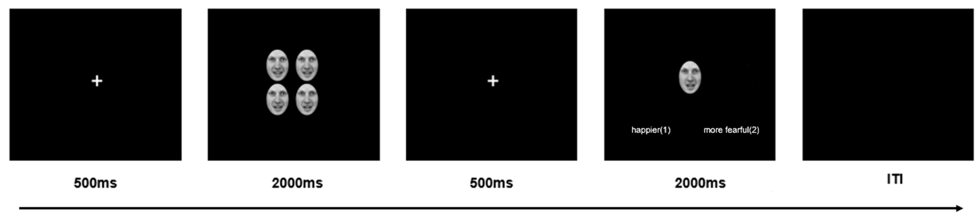 Brainsci 13 01699 g002