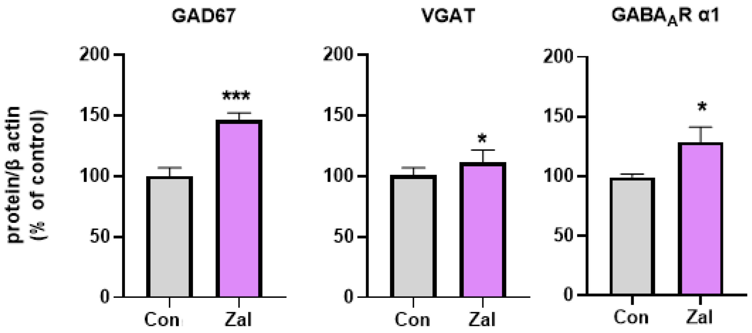 Brainsci 13 01707 g002