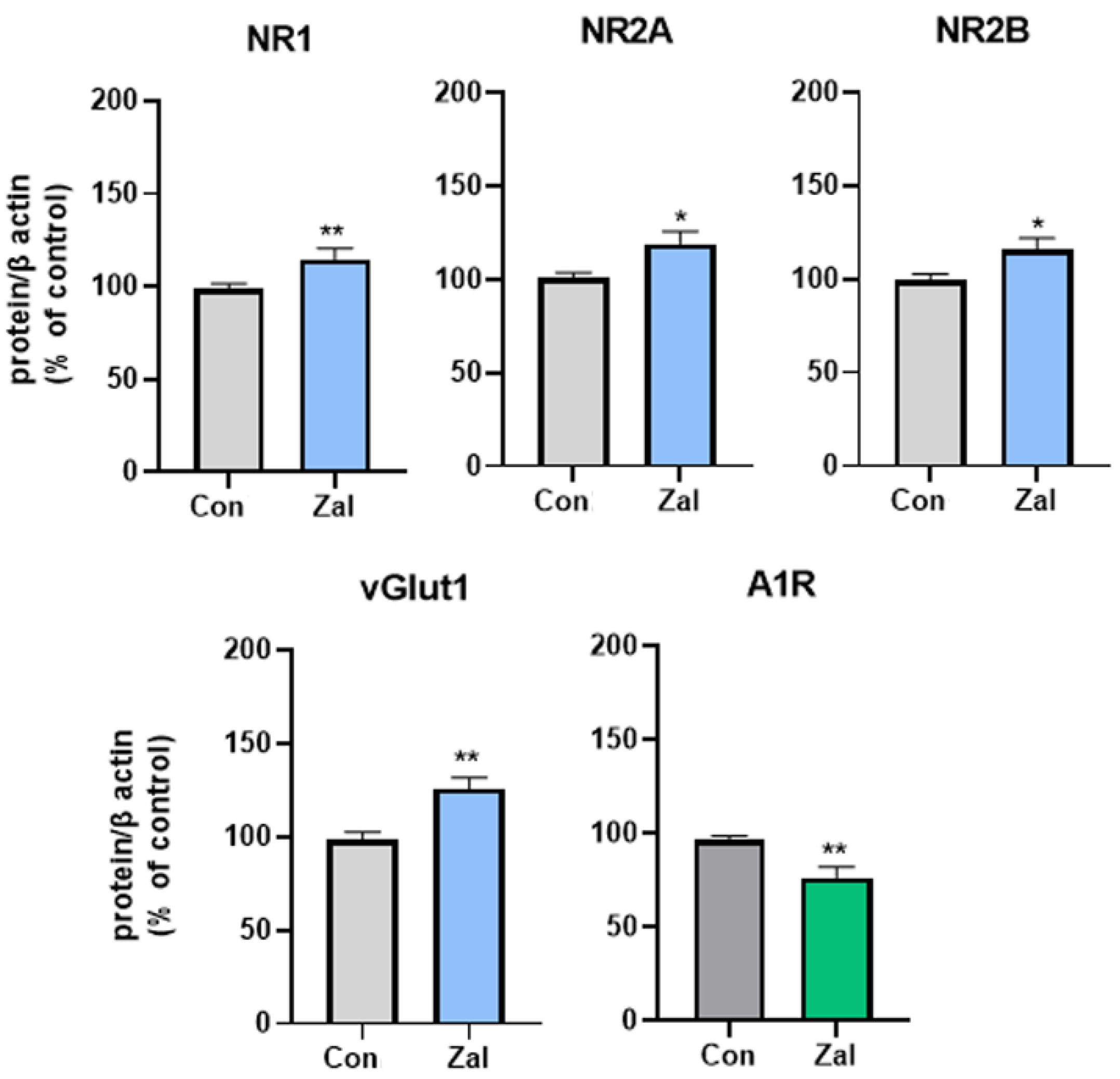 Brainsci 13 01707 g004