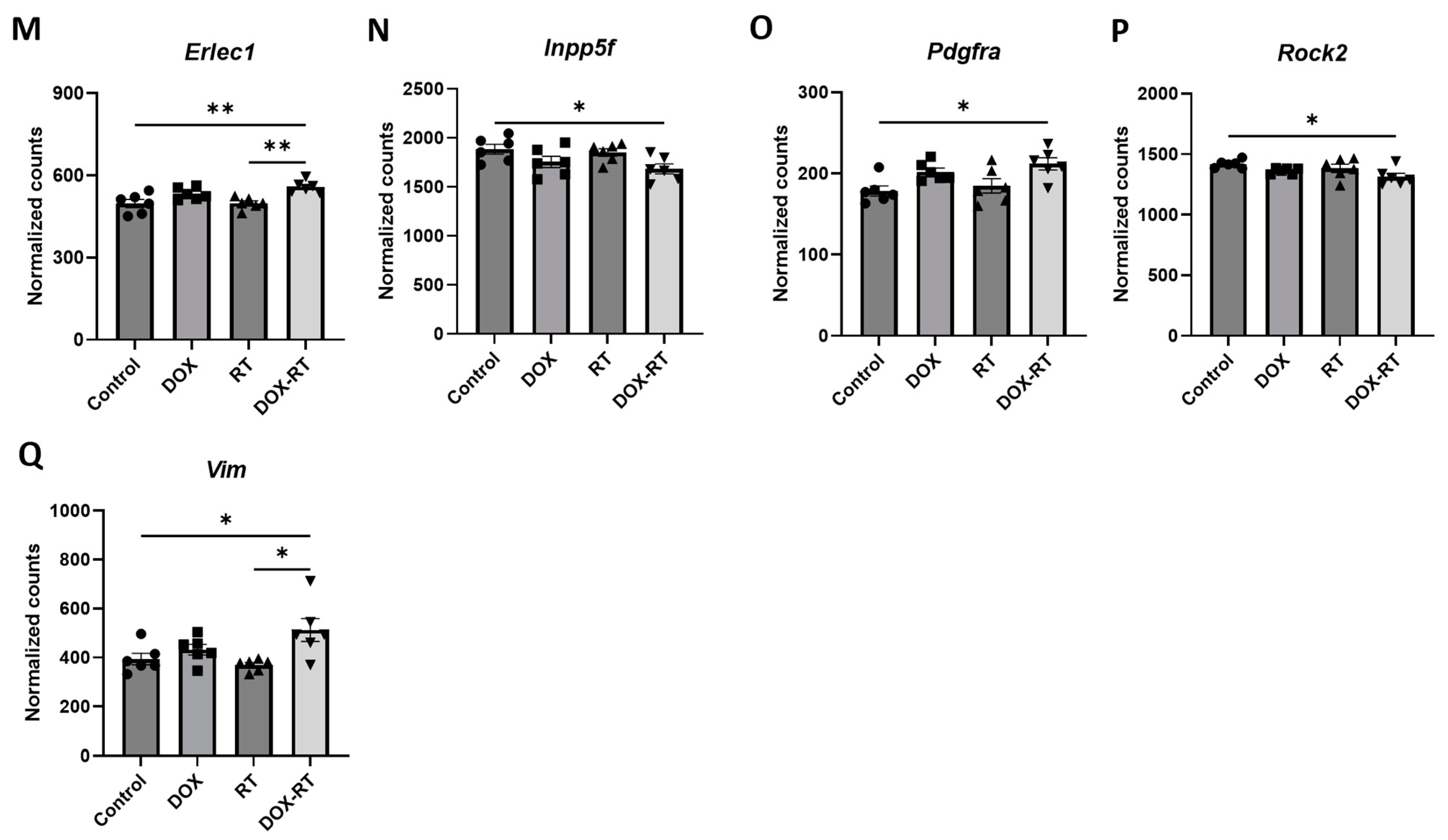 Brainsci 14 00022 g003b