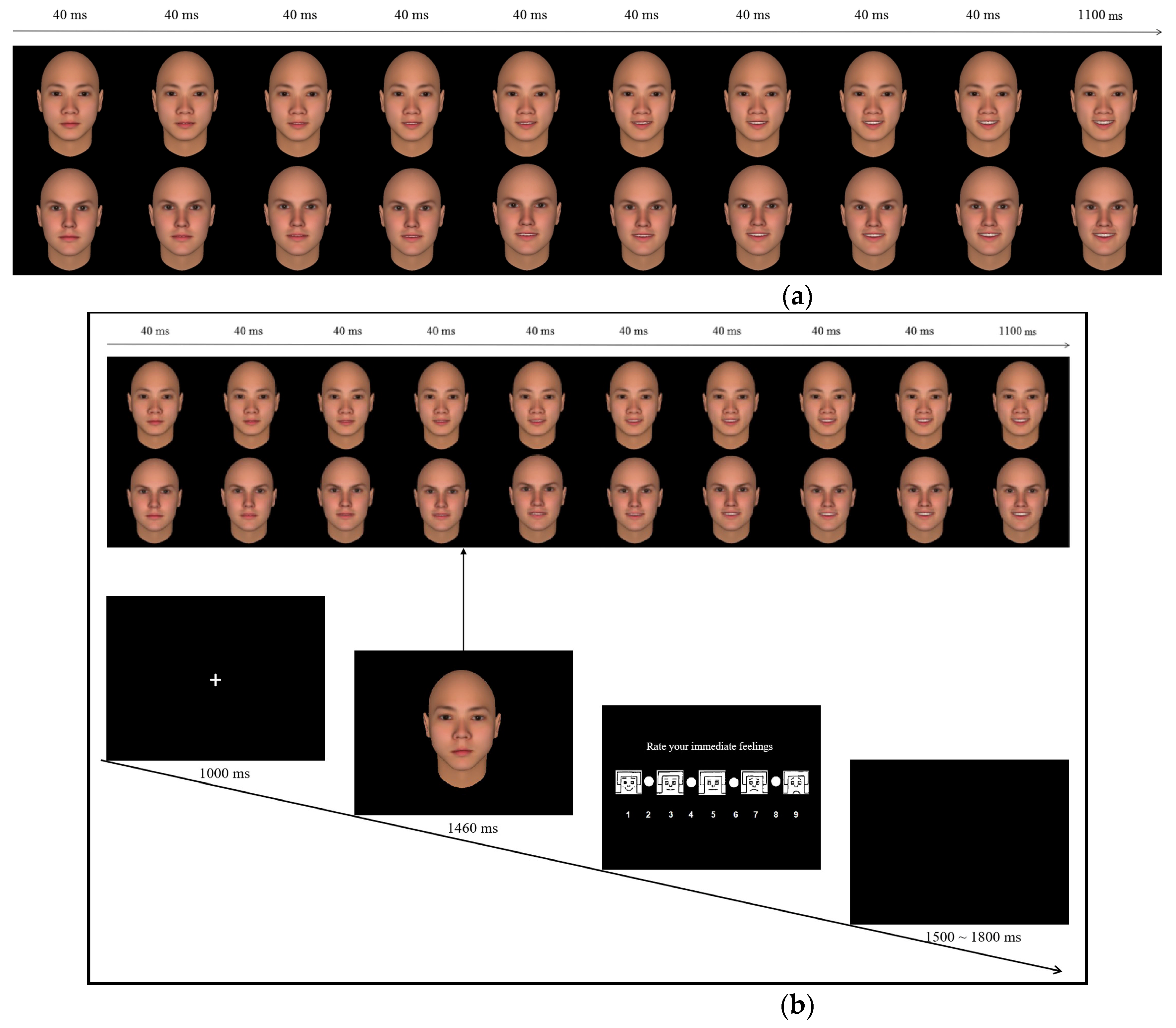 Brain Sciences Free Full Text The Neural Mechanisms of Group