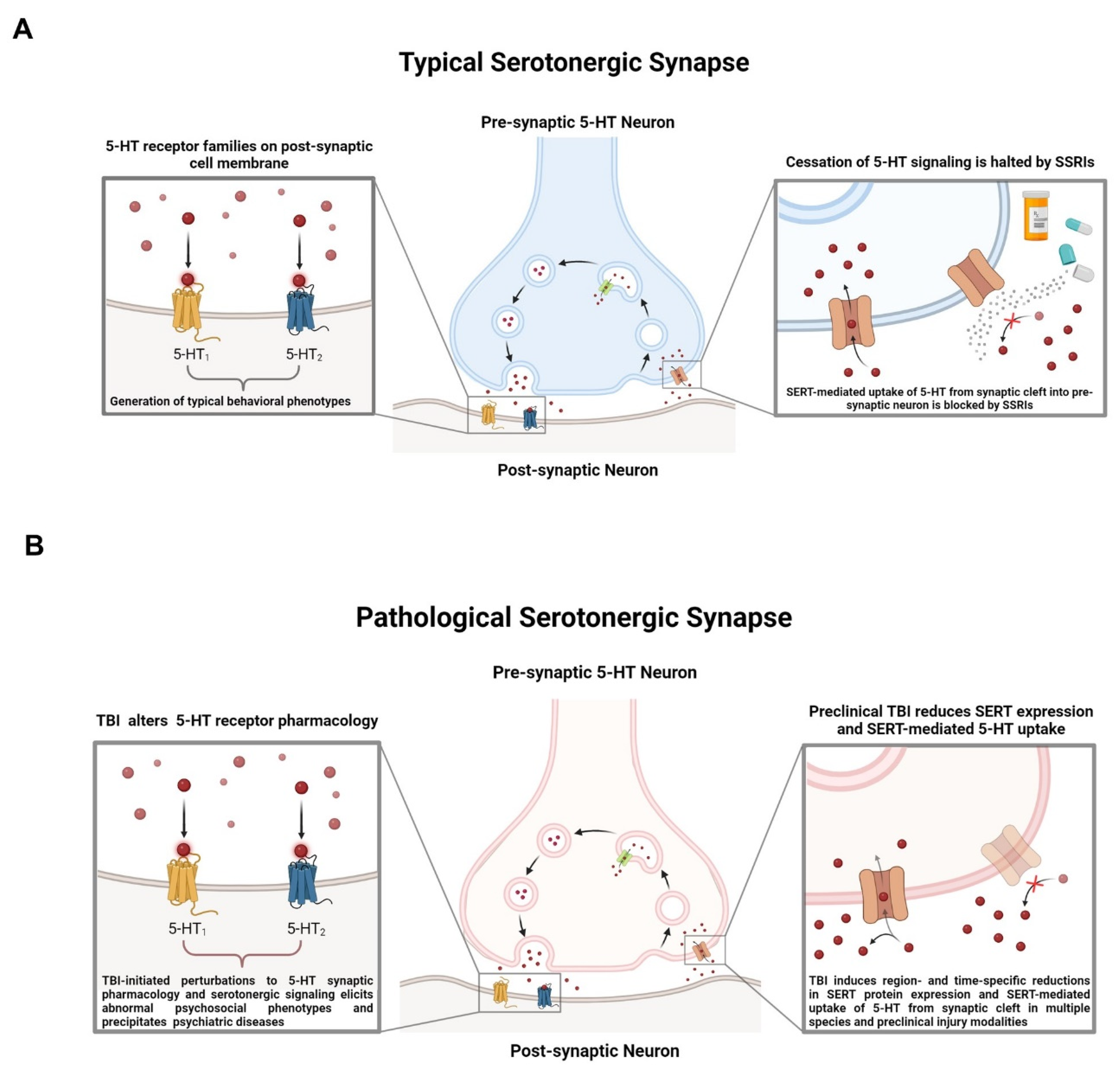 Brainsci 14 00051 g003