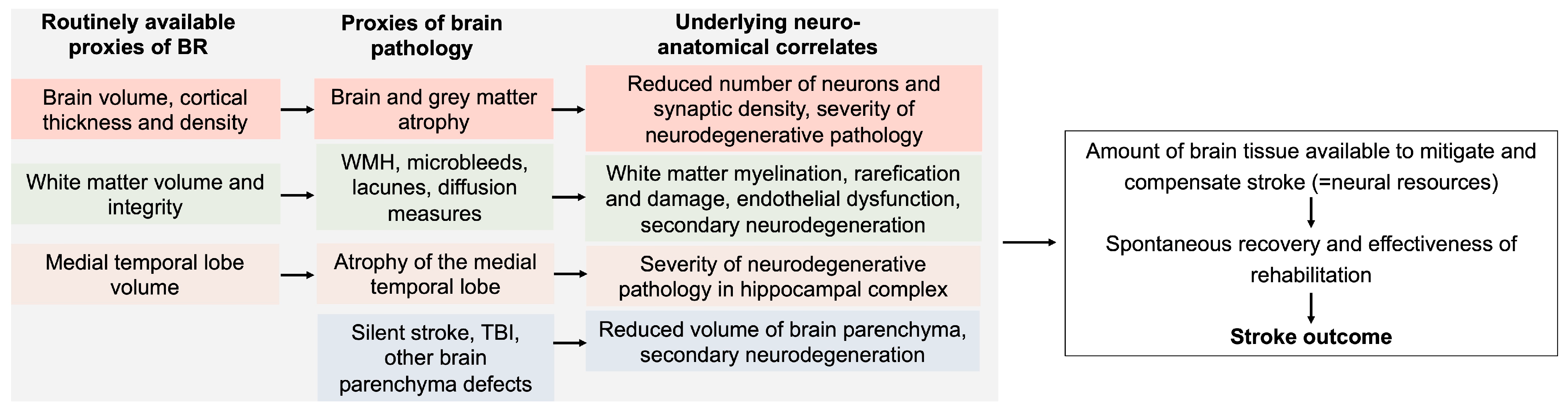 Brainsci 14 00077 g001