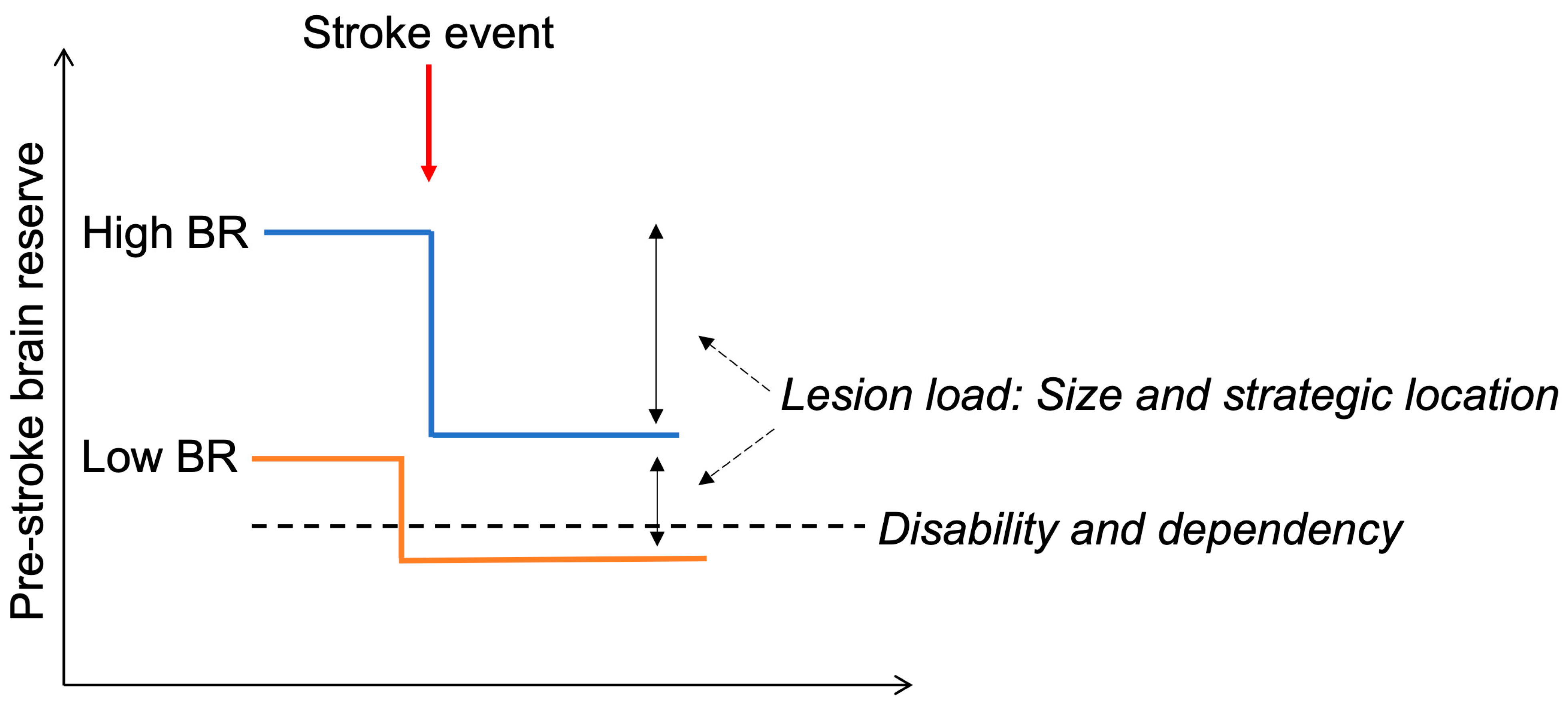 Brainsci 14 00077 g002