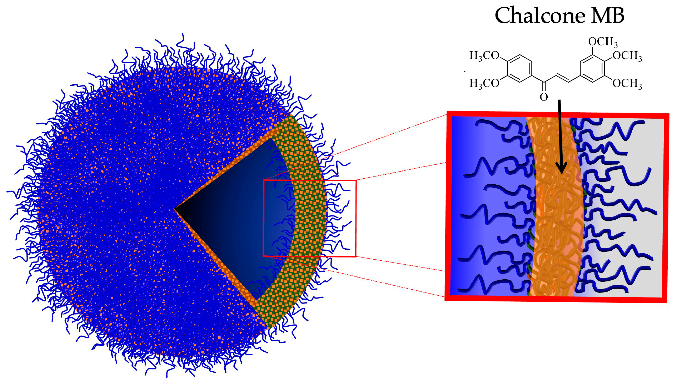 Brainsci 14 00082 g009