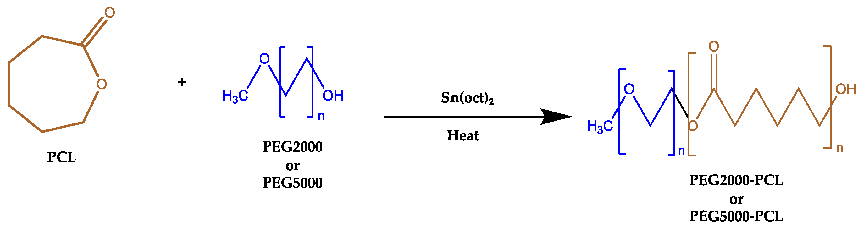 Brainsci 14 00082 sch001