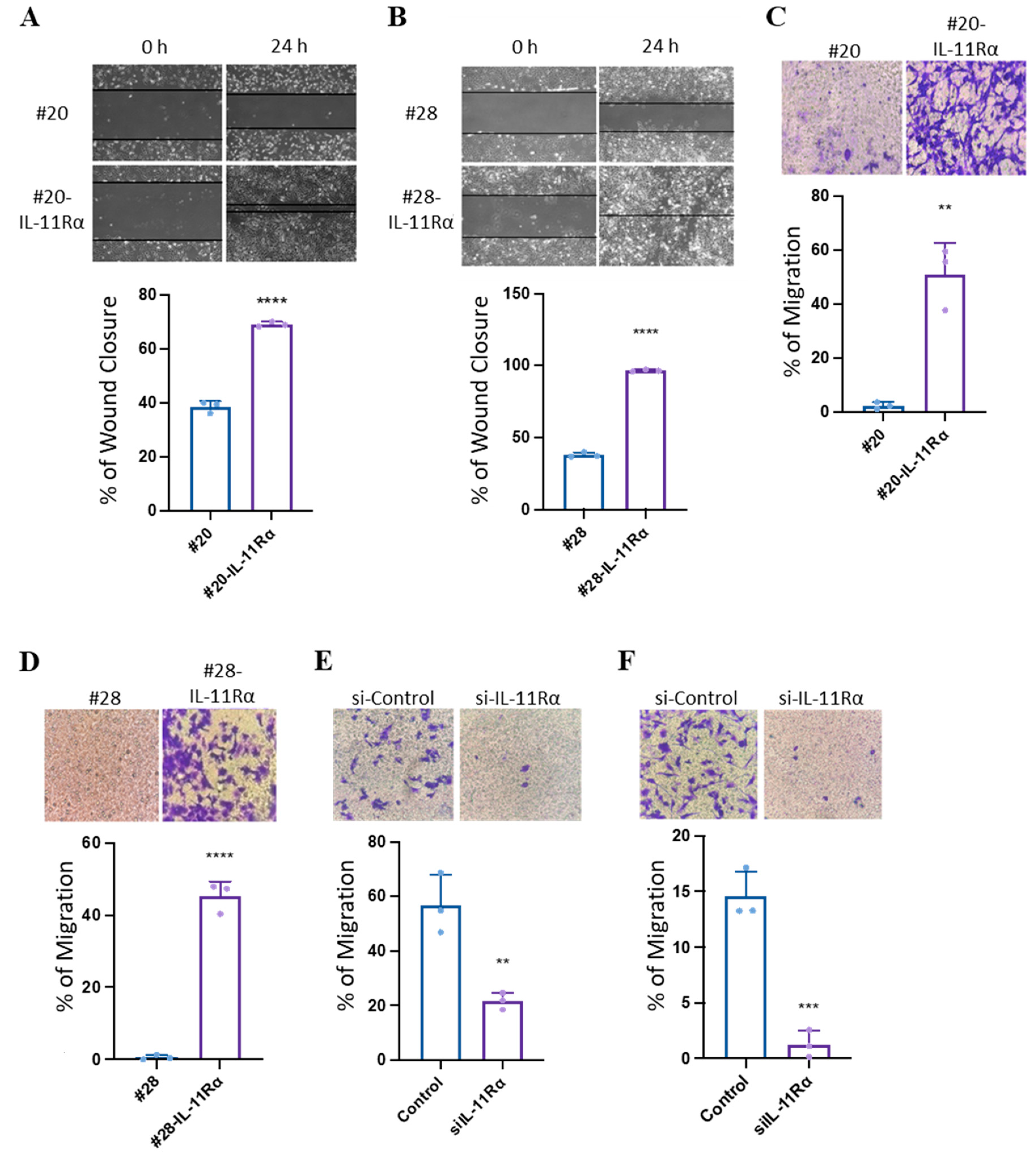 Brainsci 14 00089 g003