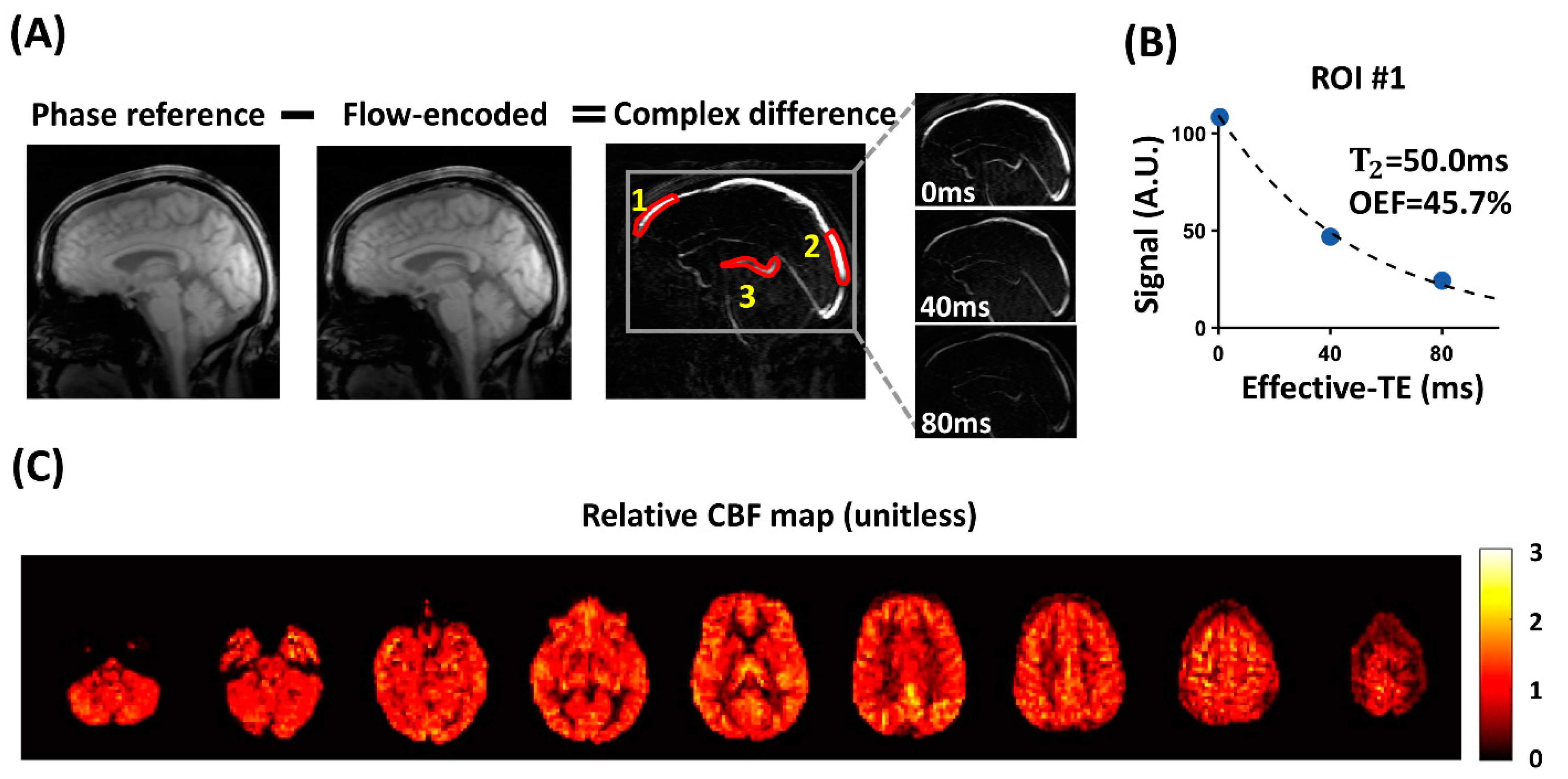 Brainsci 14 00094 g001